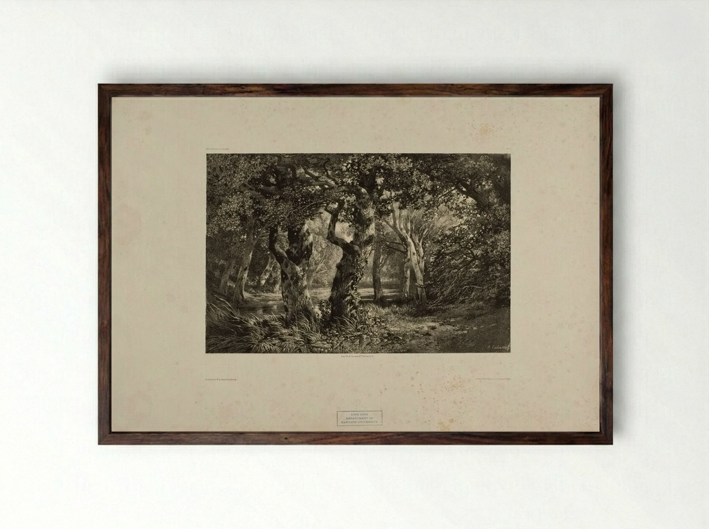 Landscape Number 6 - Alexandre Calame - Framed Print Dark Wood