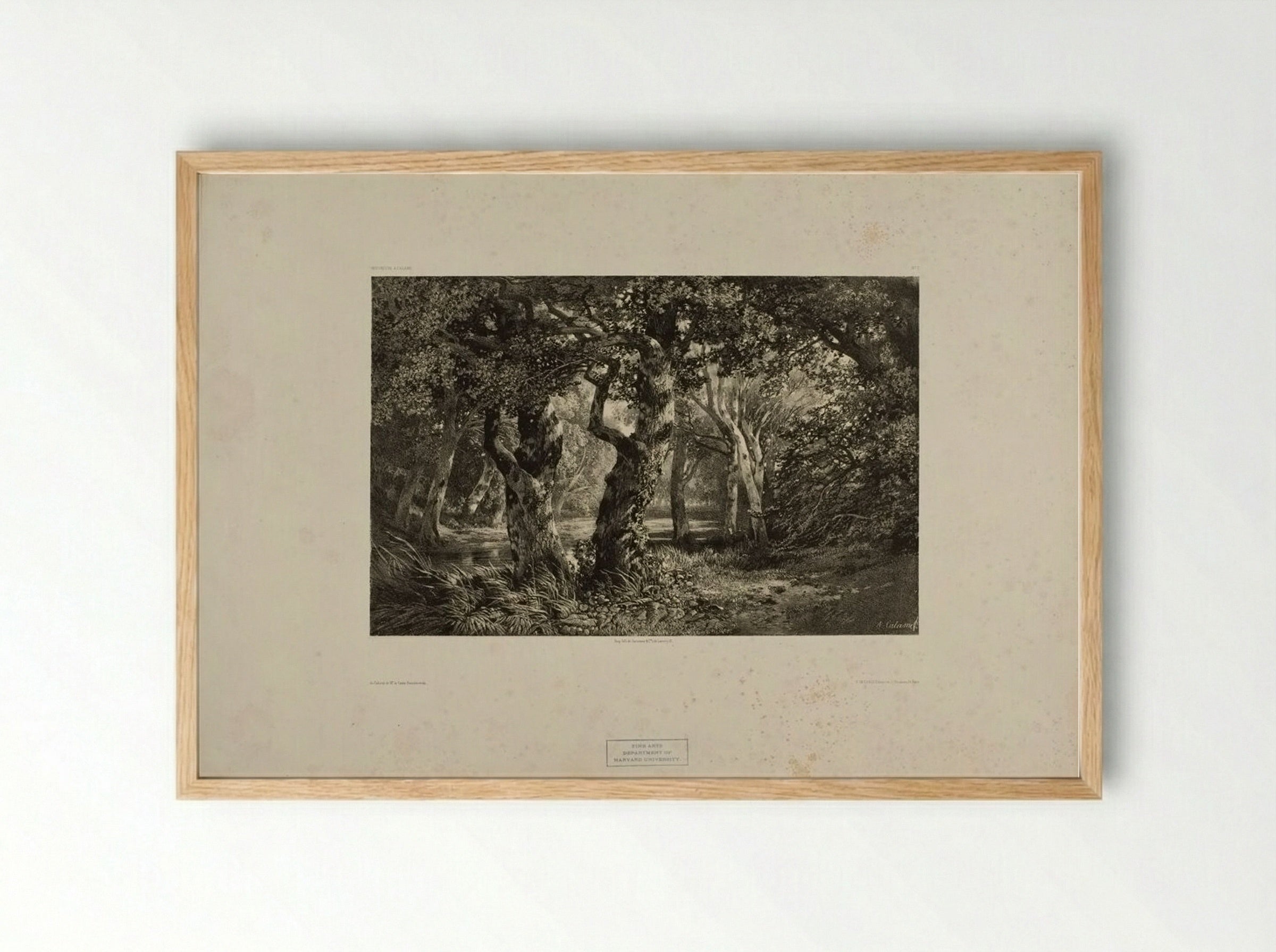 Landscape Number 6 - Alexandre Calame - Framed Print Wood