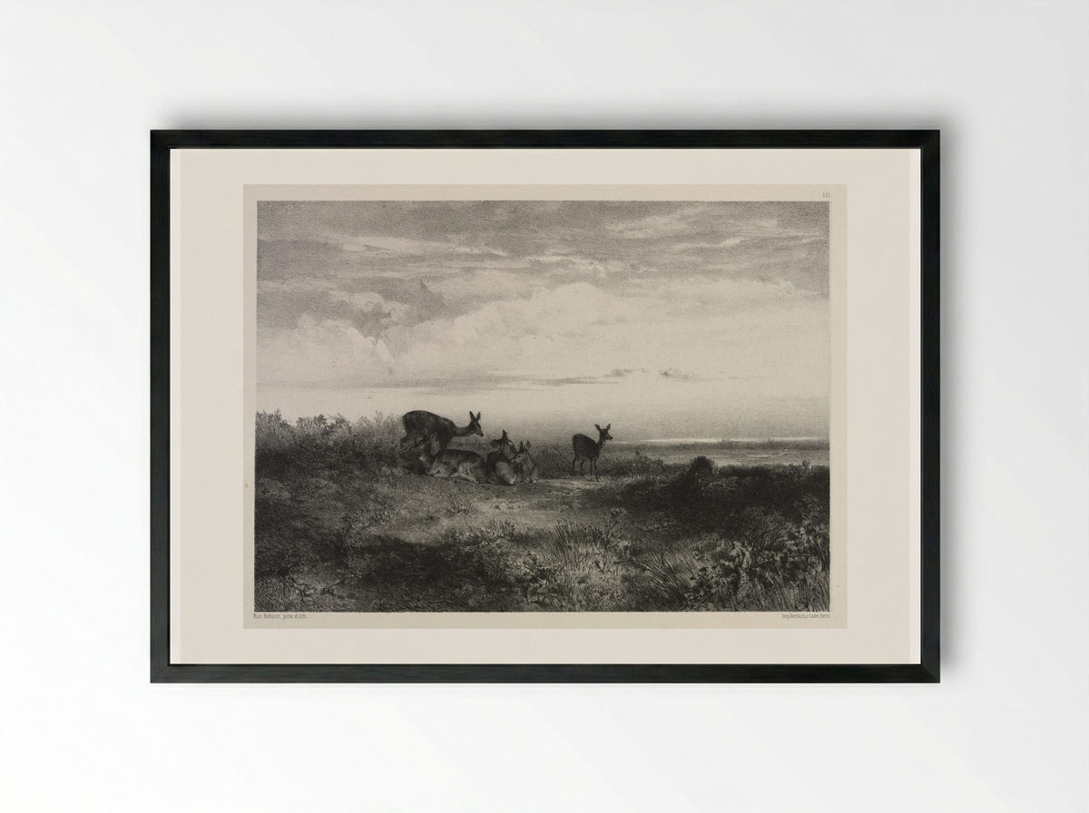 Landscape with Deer - Karl Bodmer - Framed Print Black