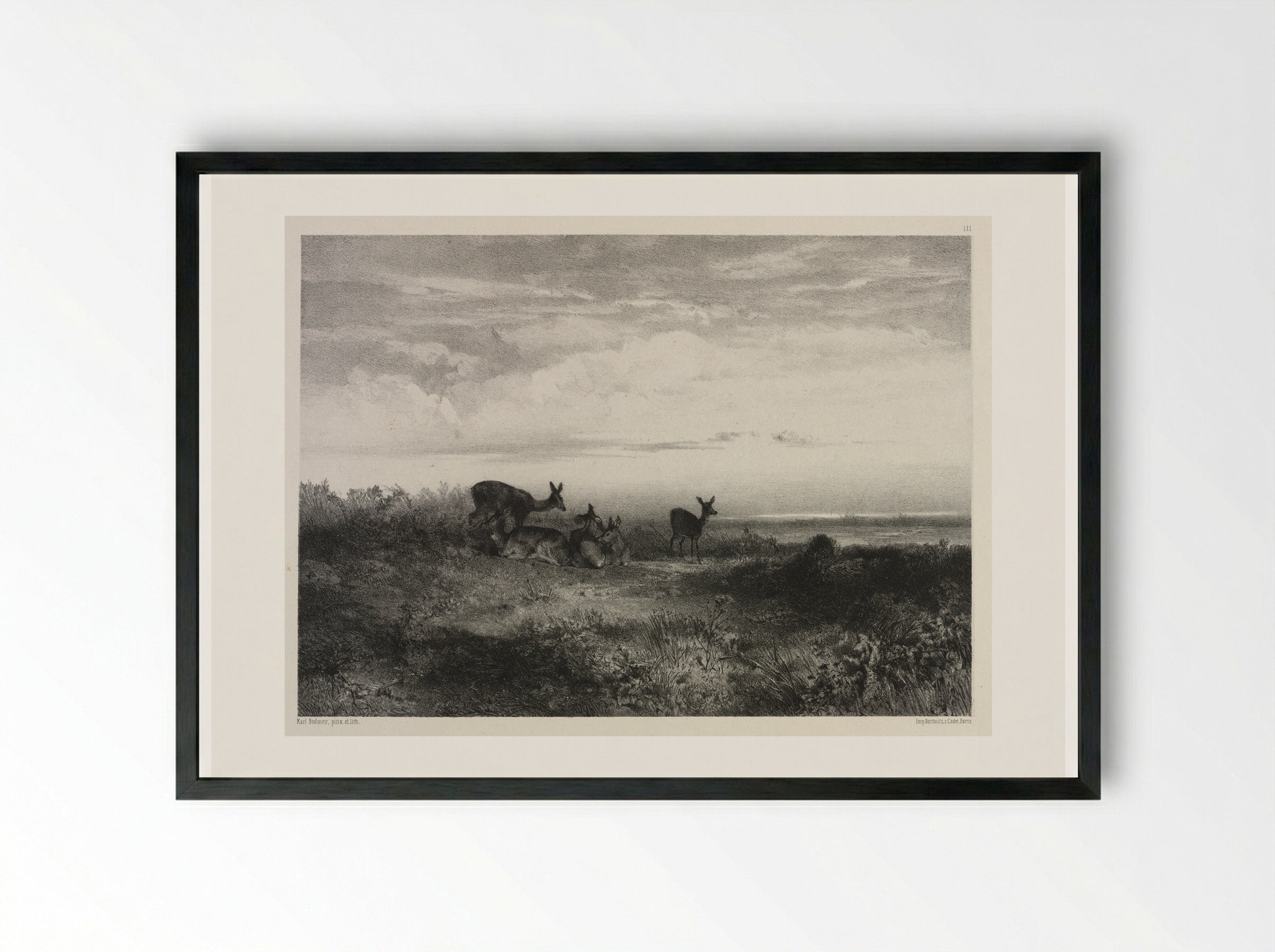Landscape with Deer - Karl Bodmer - Framed Print Black