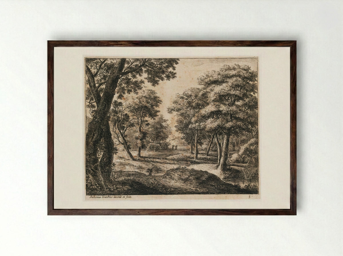 Landscape with a Path Through the Woods - Anthonie Waterloo - Framed Print Dark Wood