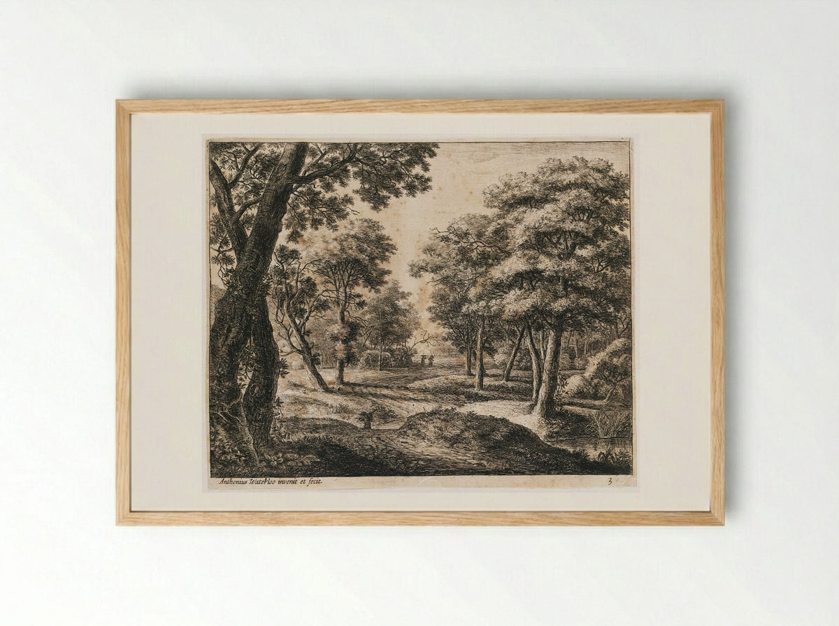 Landscape with a Path Through the Woods - Anthonie Waterloo - Framed Print Wood