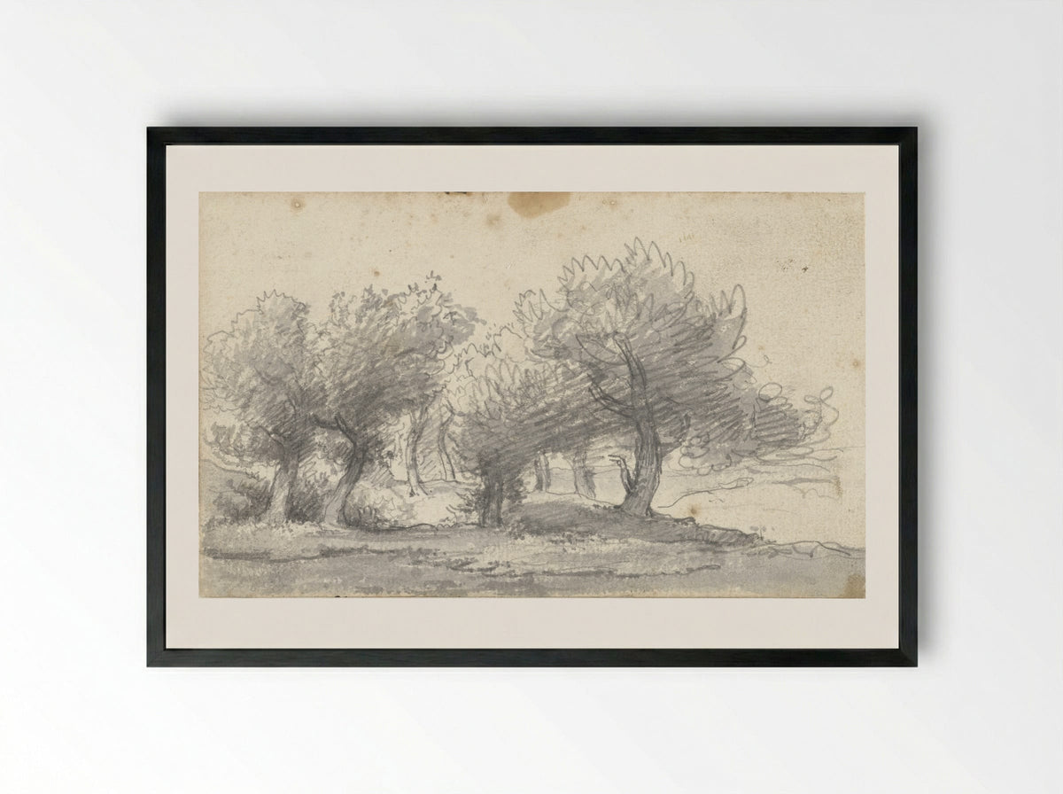 Landschap met bomen (Study of Trees) - Arnoldus Johannes Eymer - Framed Print Black