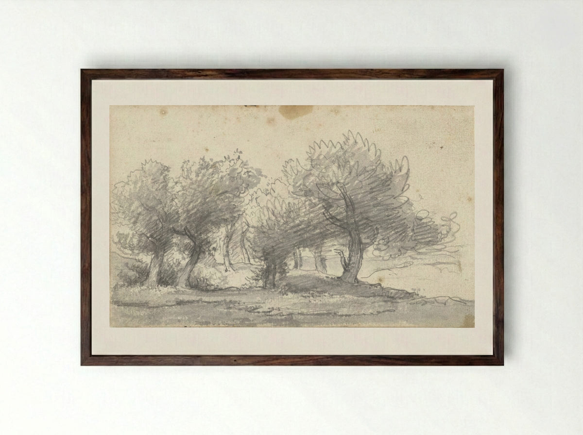 Landschap met bomen (Study of Trees) - Arnoldus Johannes Eymer - Framed Print Dark Wood
