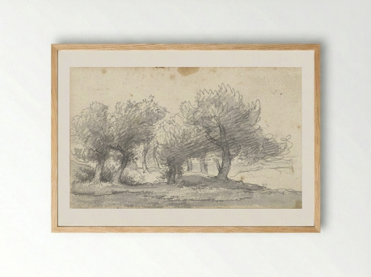 Landschap met bomen (Study of Trees) - Arnoldus Johannes Eymer - Framed Print Wood