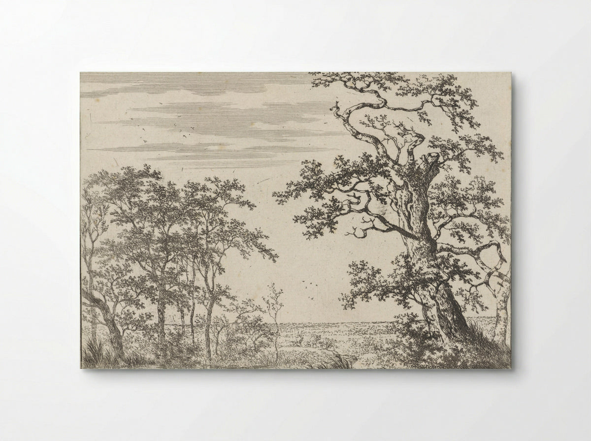 Landschap met een beek - Adriaen Hendriksz. Verboom - Poster