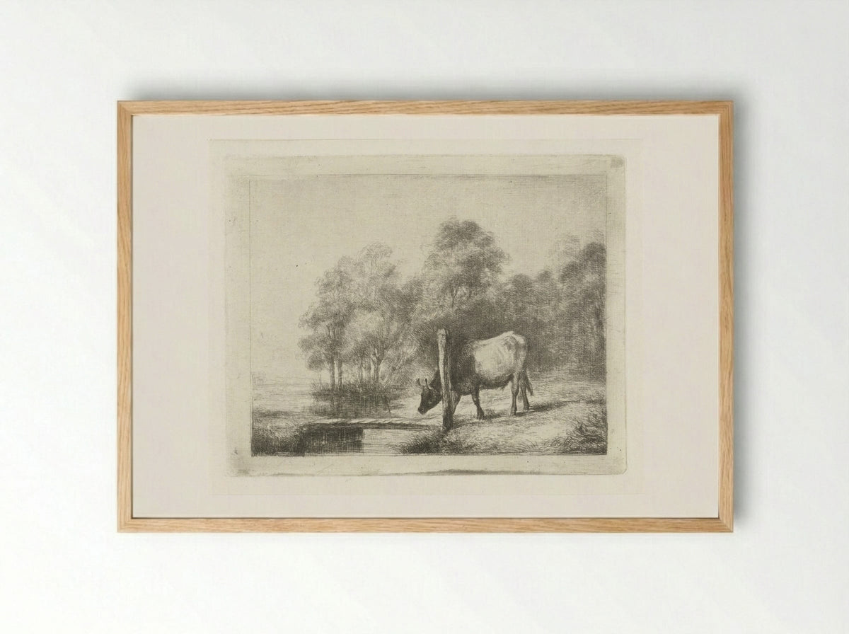 Landschap met een koe naast een sloot - Antonie Franciscus Dona - Framed Print Wood