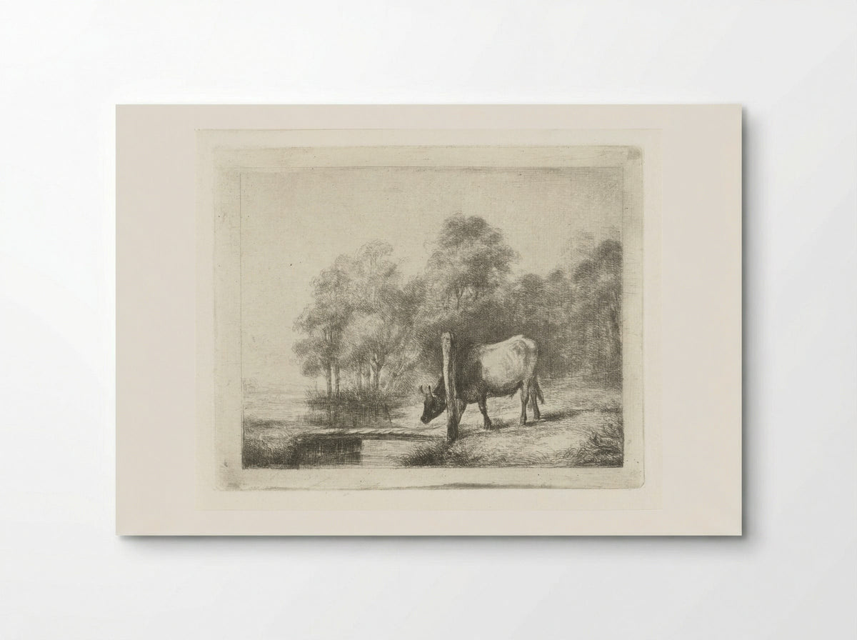 Landschap met een koe naast een sloot - Antonie Franciscus Dona - Poster