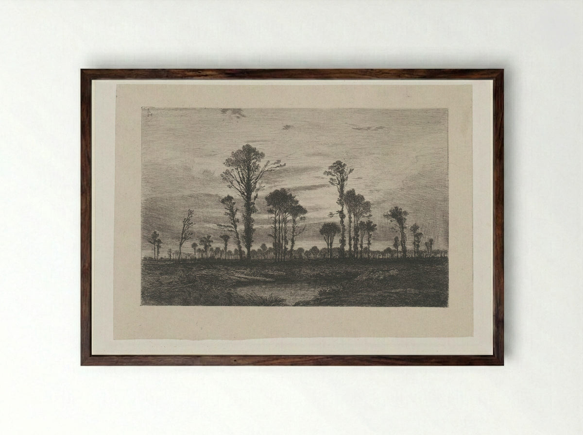 Landschap met hoge bomen en een vijver - Henri Joseph Harpignies - Framed Print Dark Wood