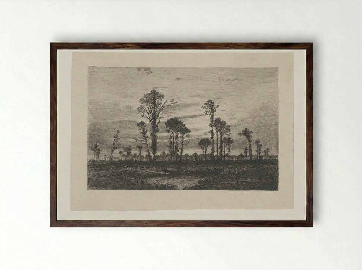 Landschap met hoge bomen en een vijver - Henri Joseph Harpignies - Framed Print Dark Wood