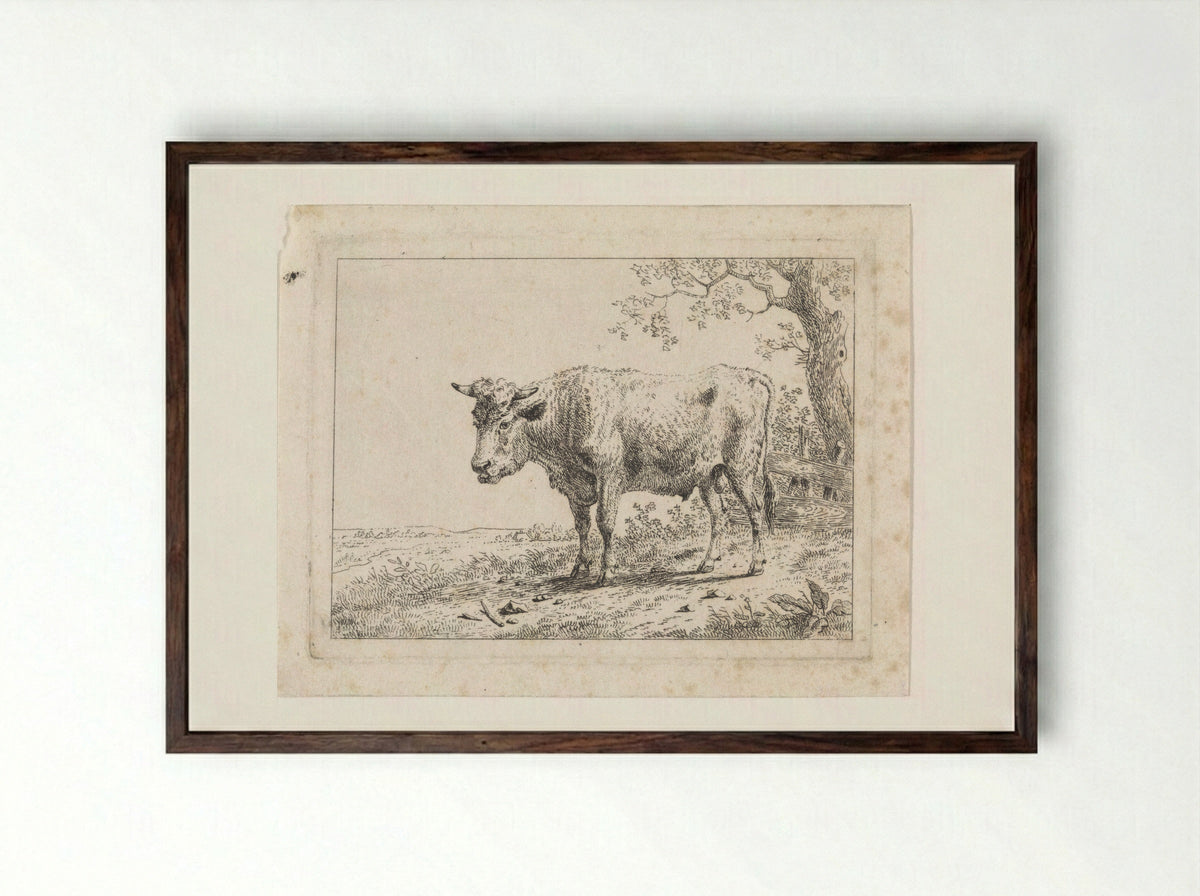 Landschap met stier - Dirk van Oosterhoudt - Framed Print Dark Wood