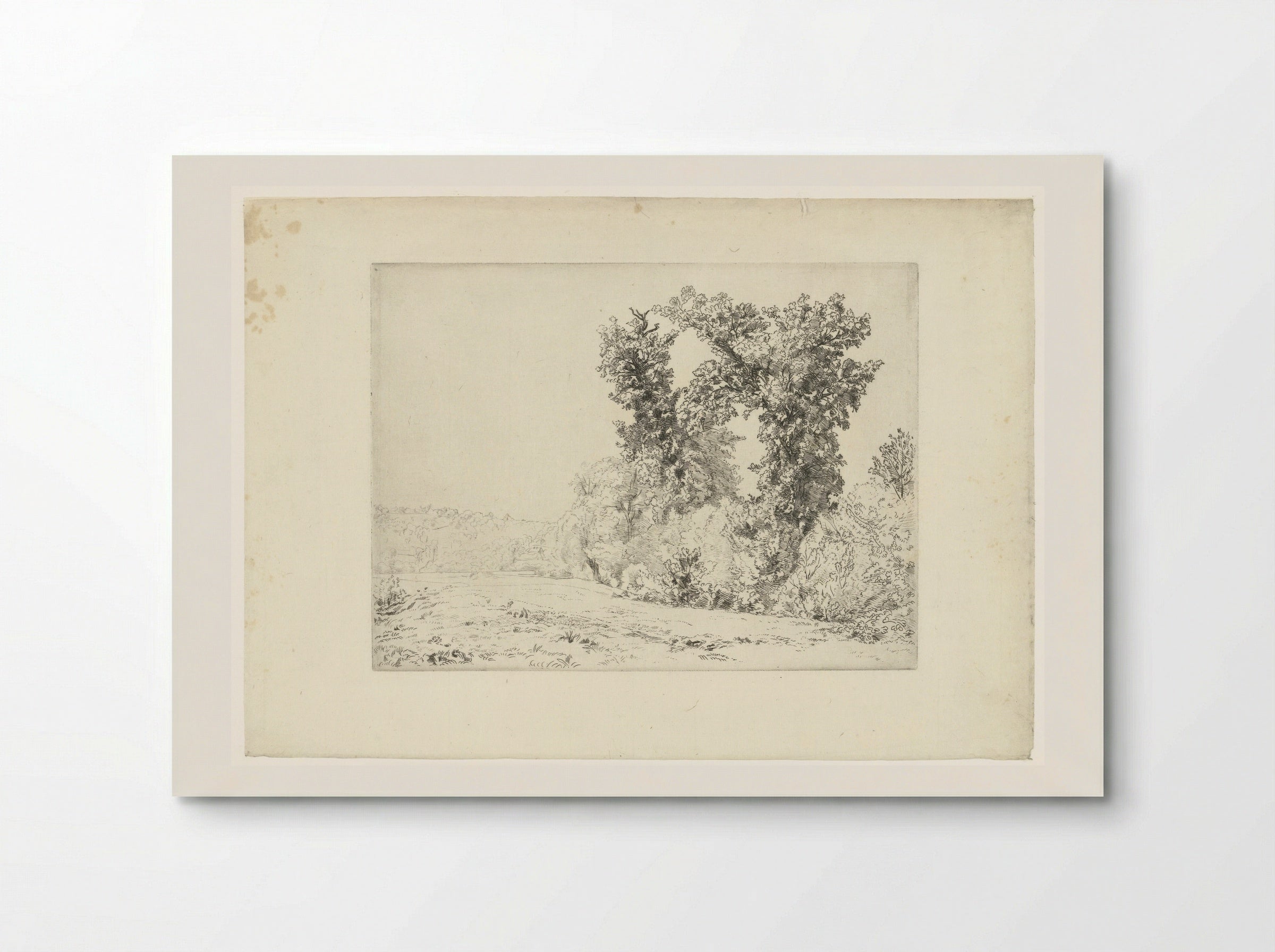 Landschap - Félix Bracquemond - Poster