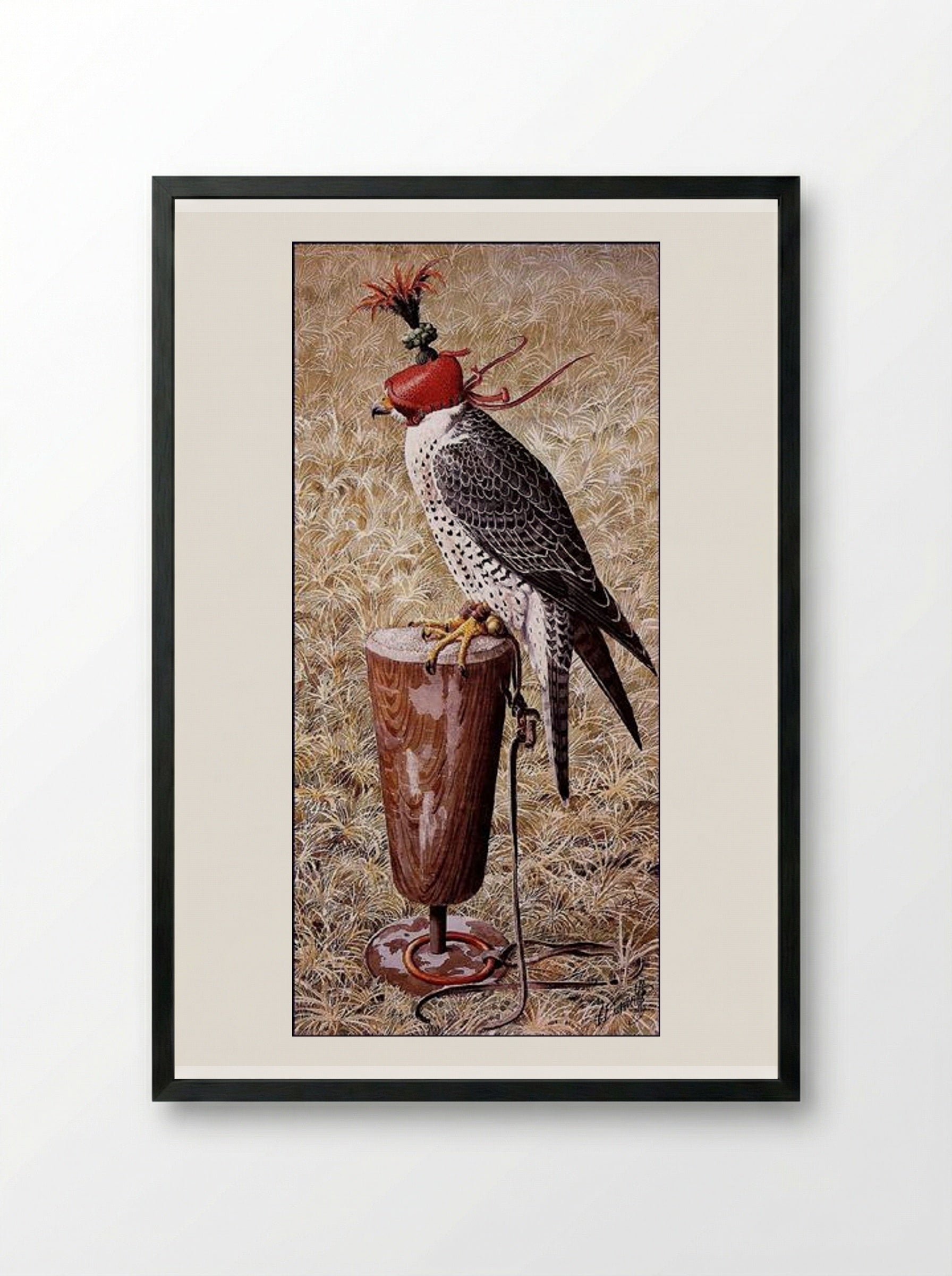 Lanner Falcon on a Block - Charles Tunnicliffe - Framed Print Black