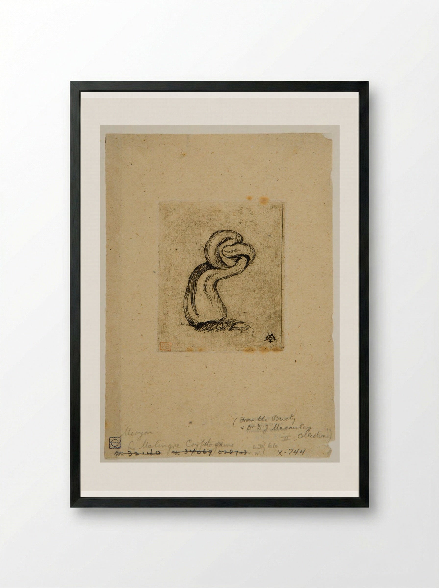 Le malingre cryptogame - Charles Meryon - Framed Print Black