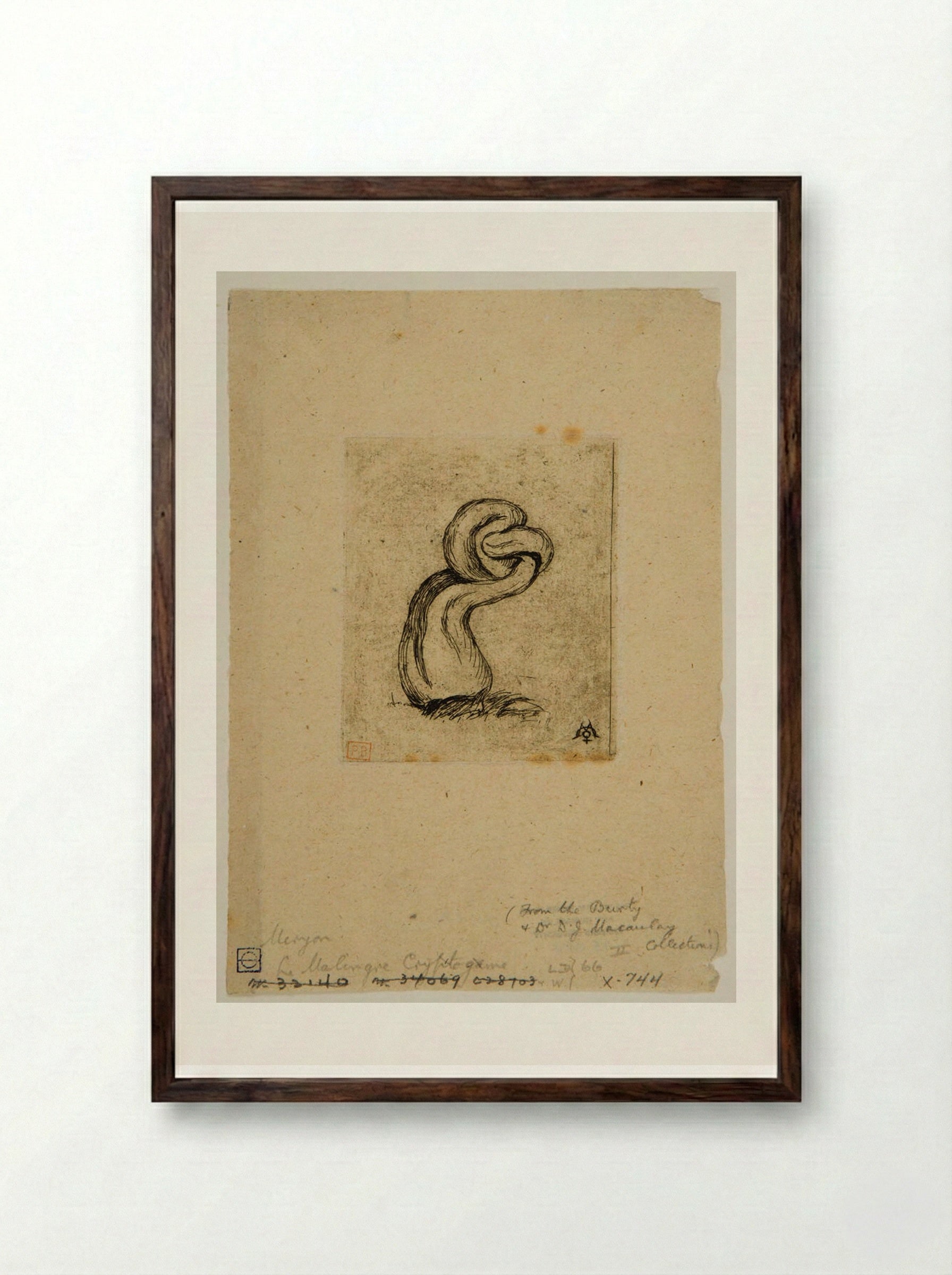 Le malingre cryptogame - Charles Meryon - Framed Print Dark Wood