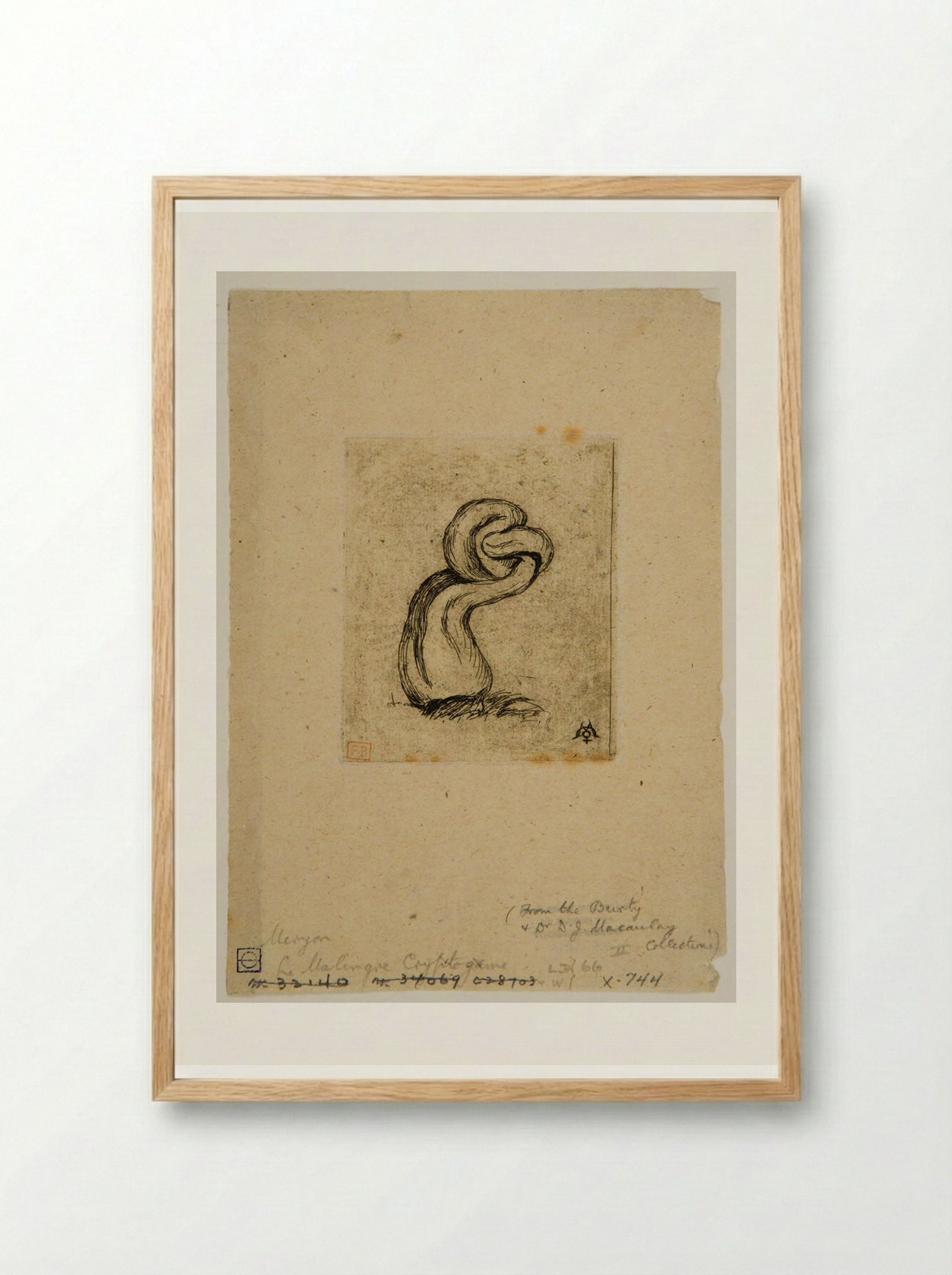 Le malingre cryptogame - Charles Meryon - Framed Print Wood