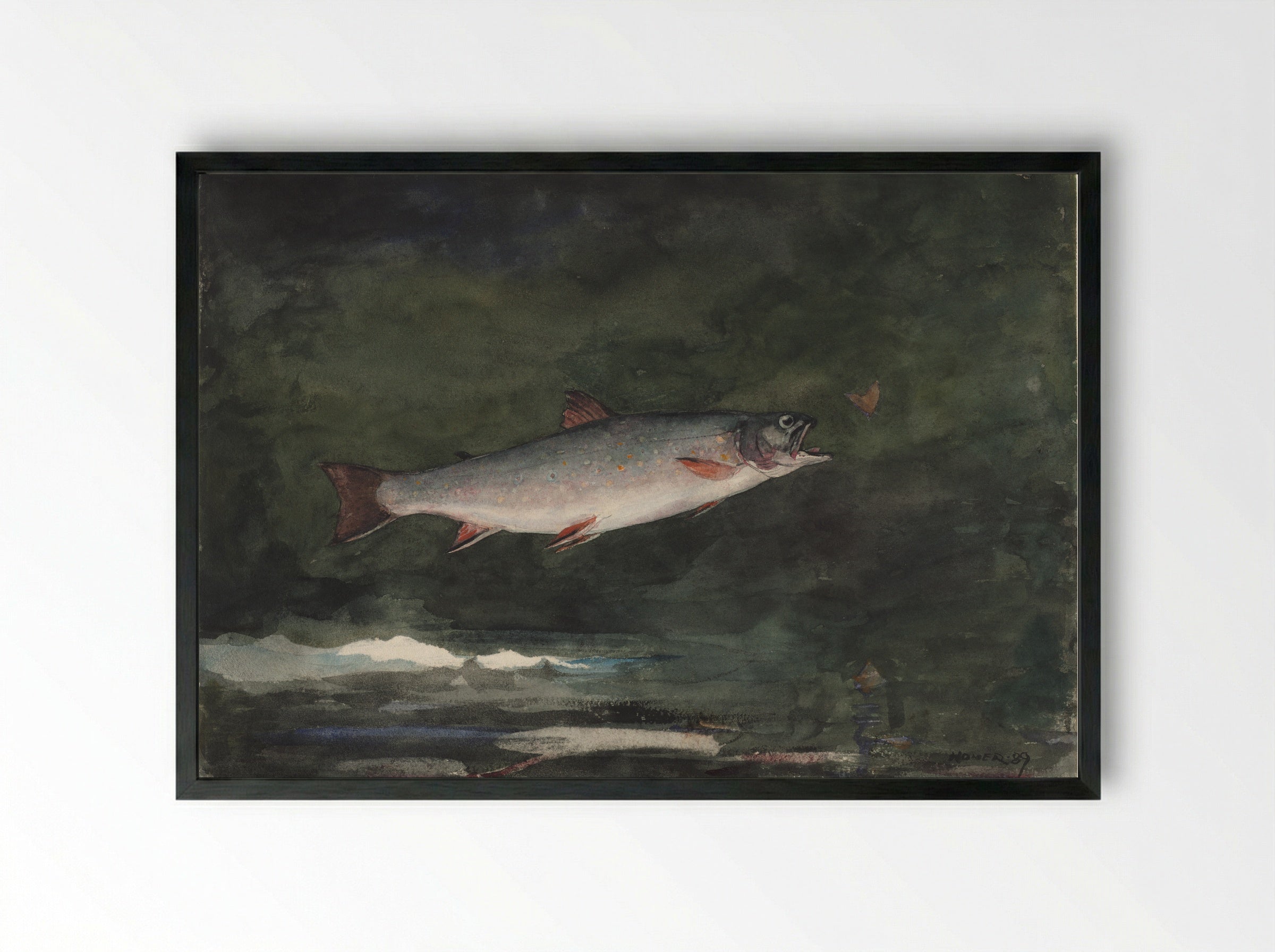 Leaping Trout (Adirondacks) - Winslow Homer - Framed Print Black