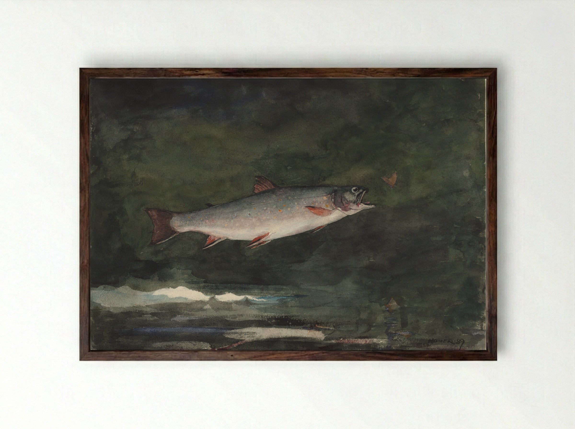 Leaping Trout (Adirondacks) - Winslow Homer - Framed Print Dark Wood