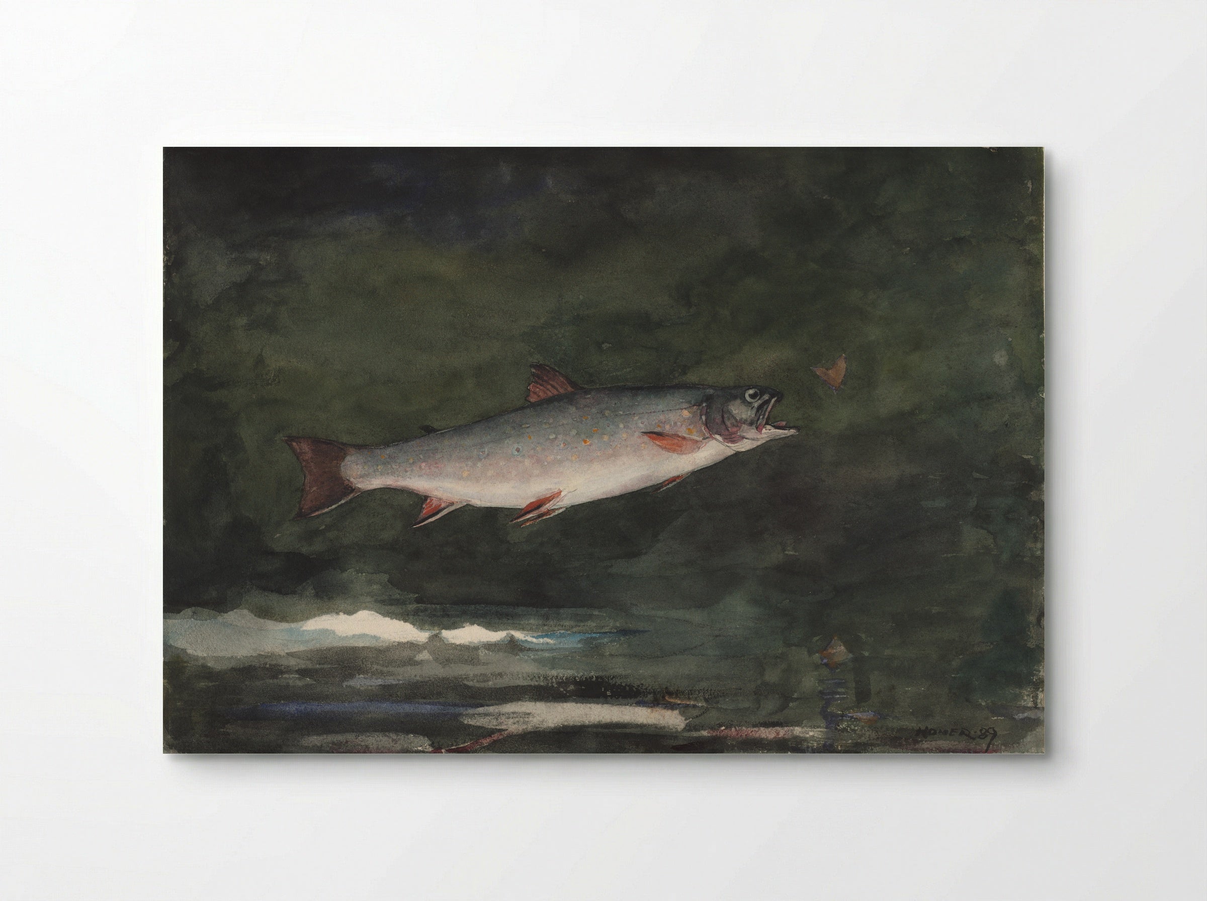 Leaping Trout (Adirondacks) - Winslow Homer - Poster