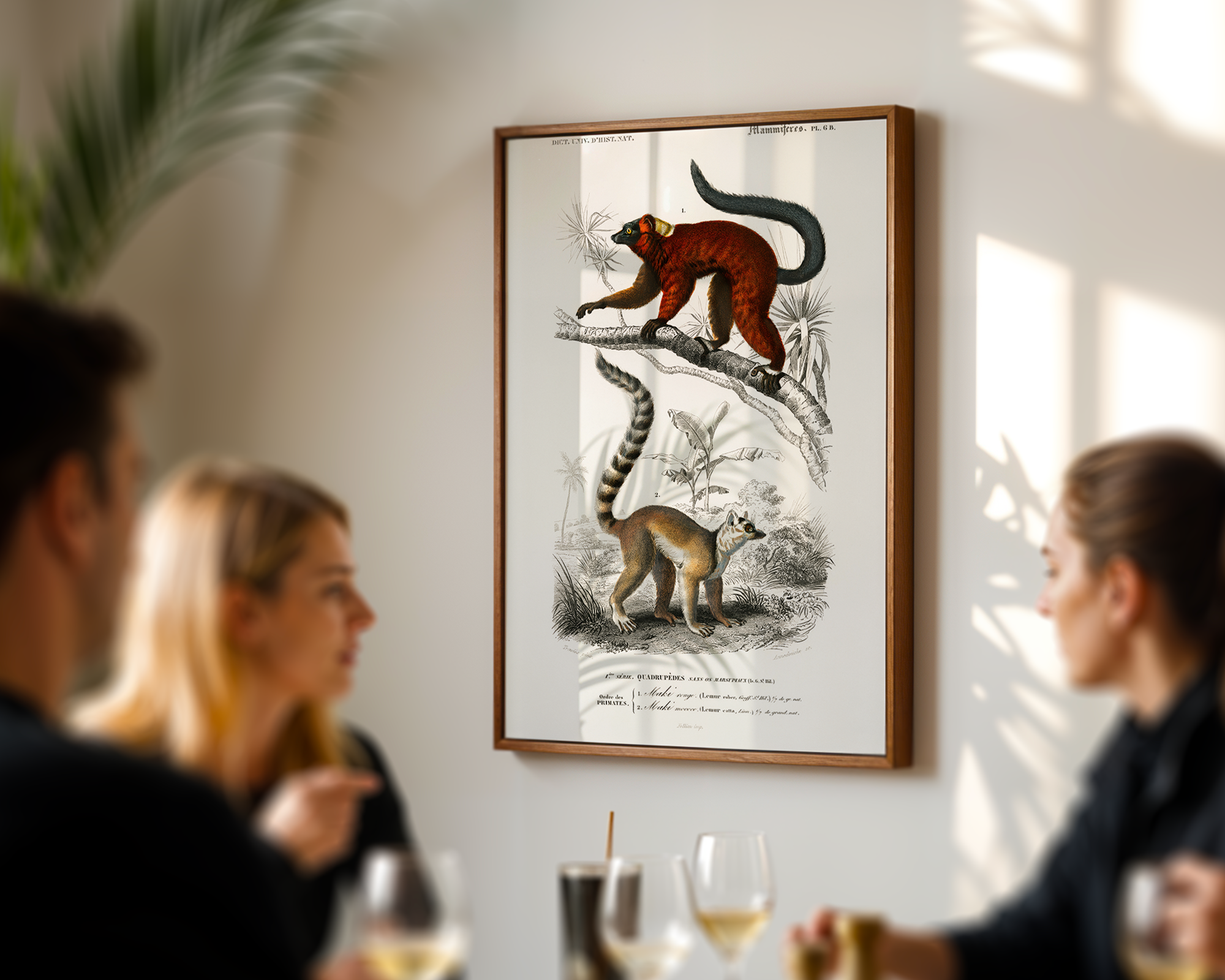 Lemur-illustrated-by-Charles-Dessalines-D_-Orbigny_final mockup