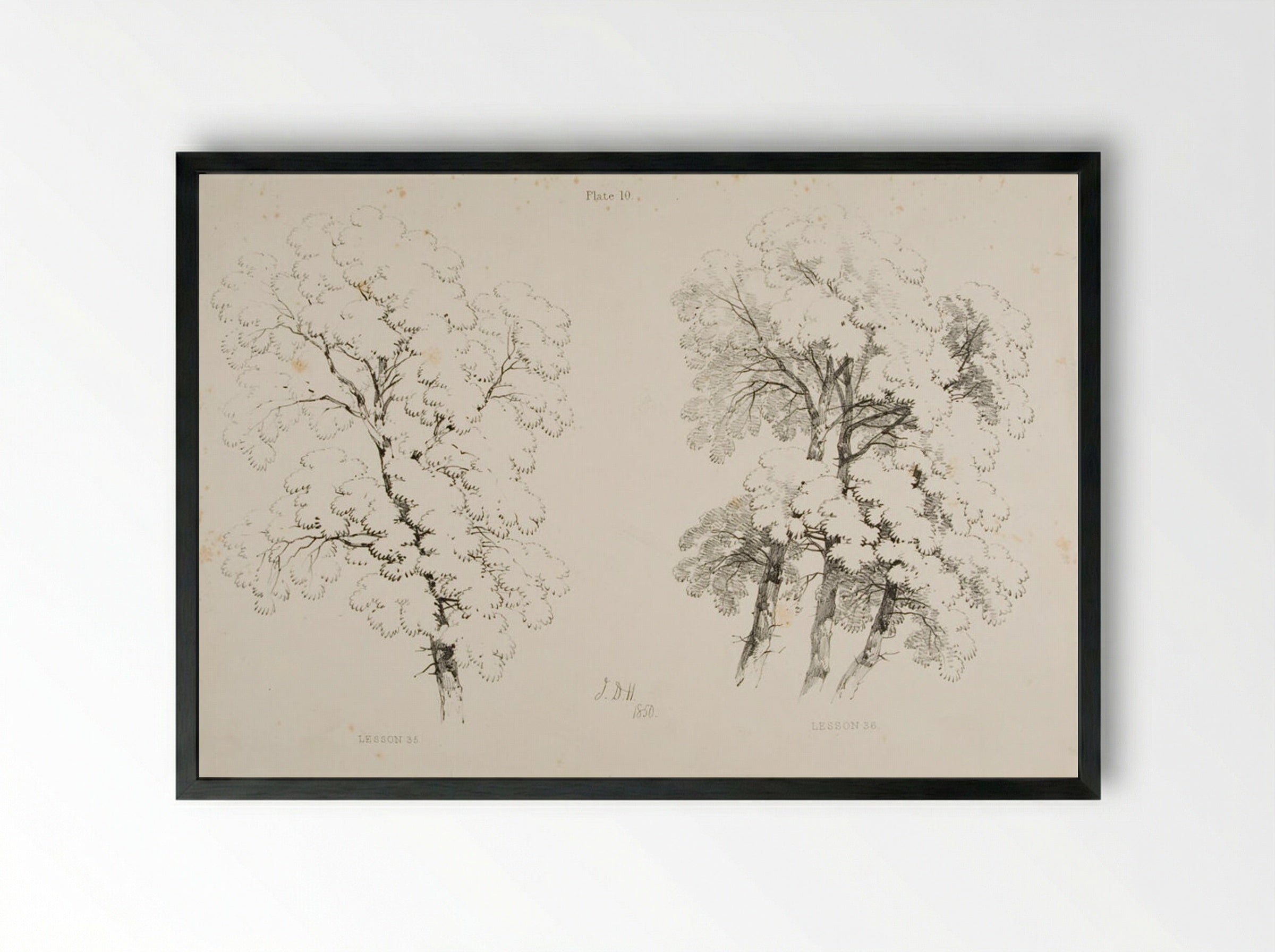 Lessons on Trees, Plate 10 (Elm Studies) - James Duffield Harding - Framed Print Black