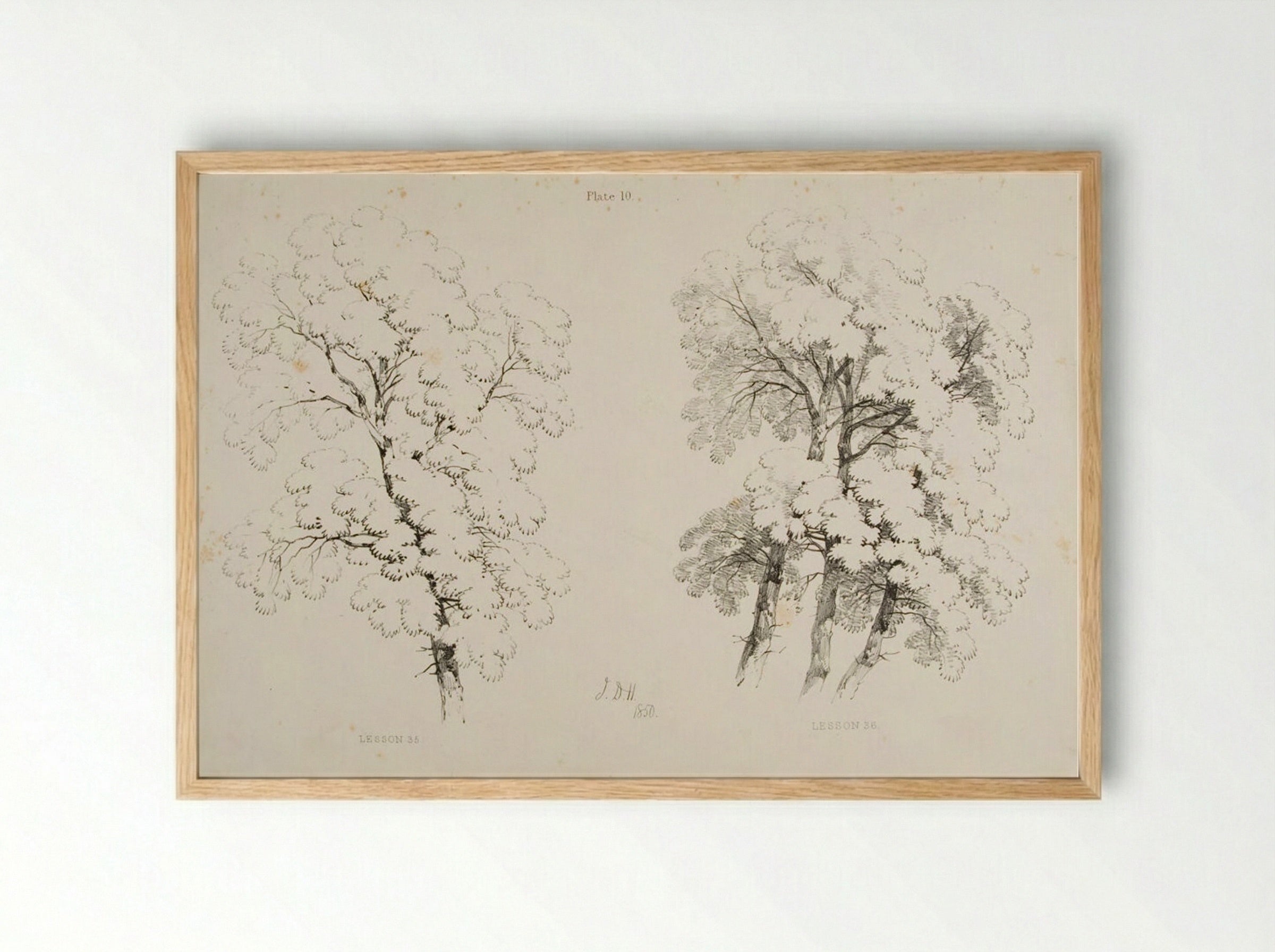 Lessons on Trees, Plate 10 (Elm Studies) - James Duffield Harding - Framed Print Wood