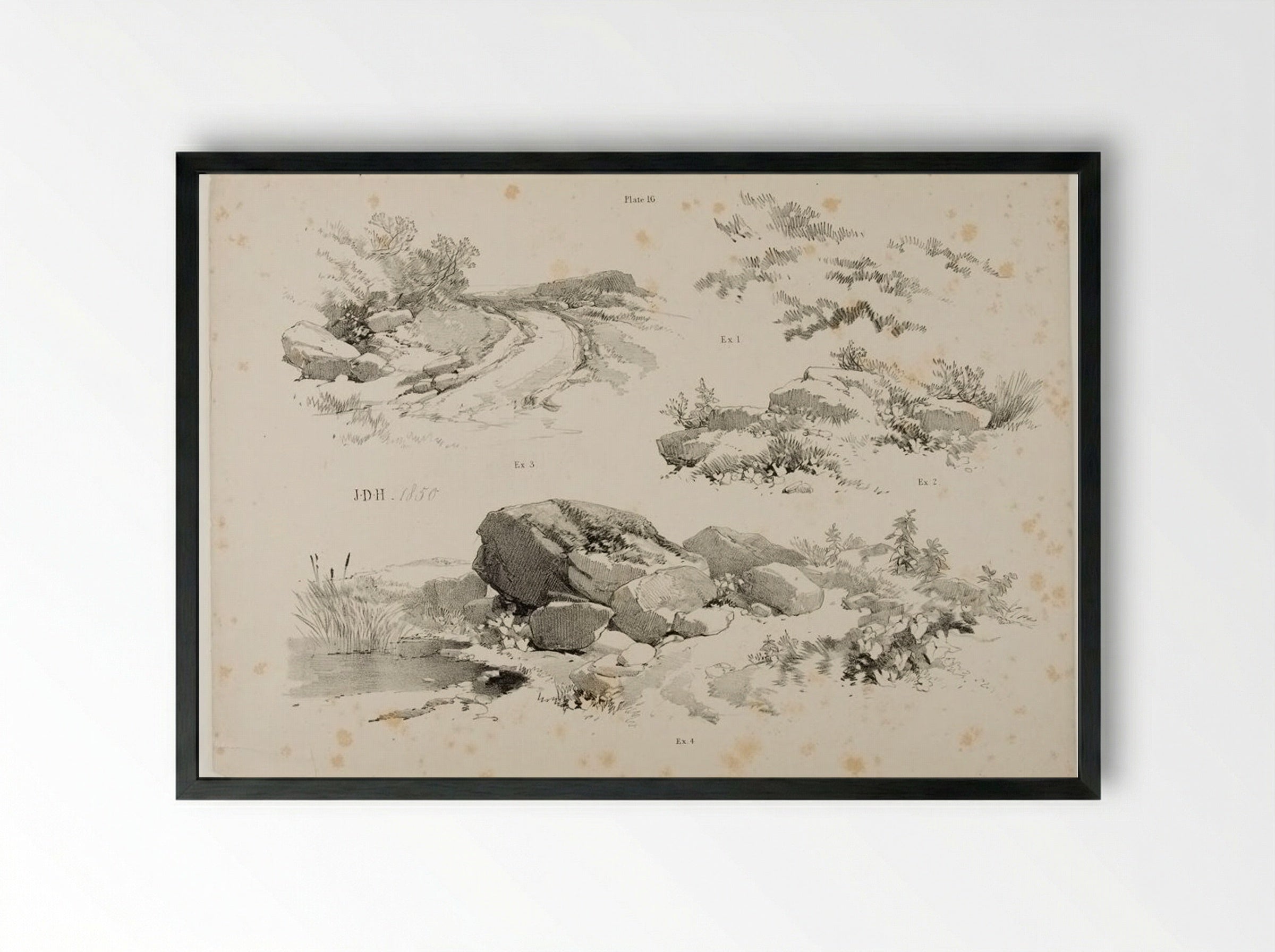 Lessons on Trees, plate 16 - James Duffield Harding - Framed Print Black