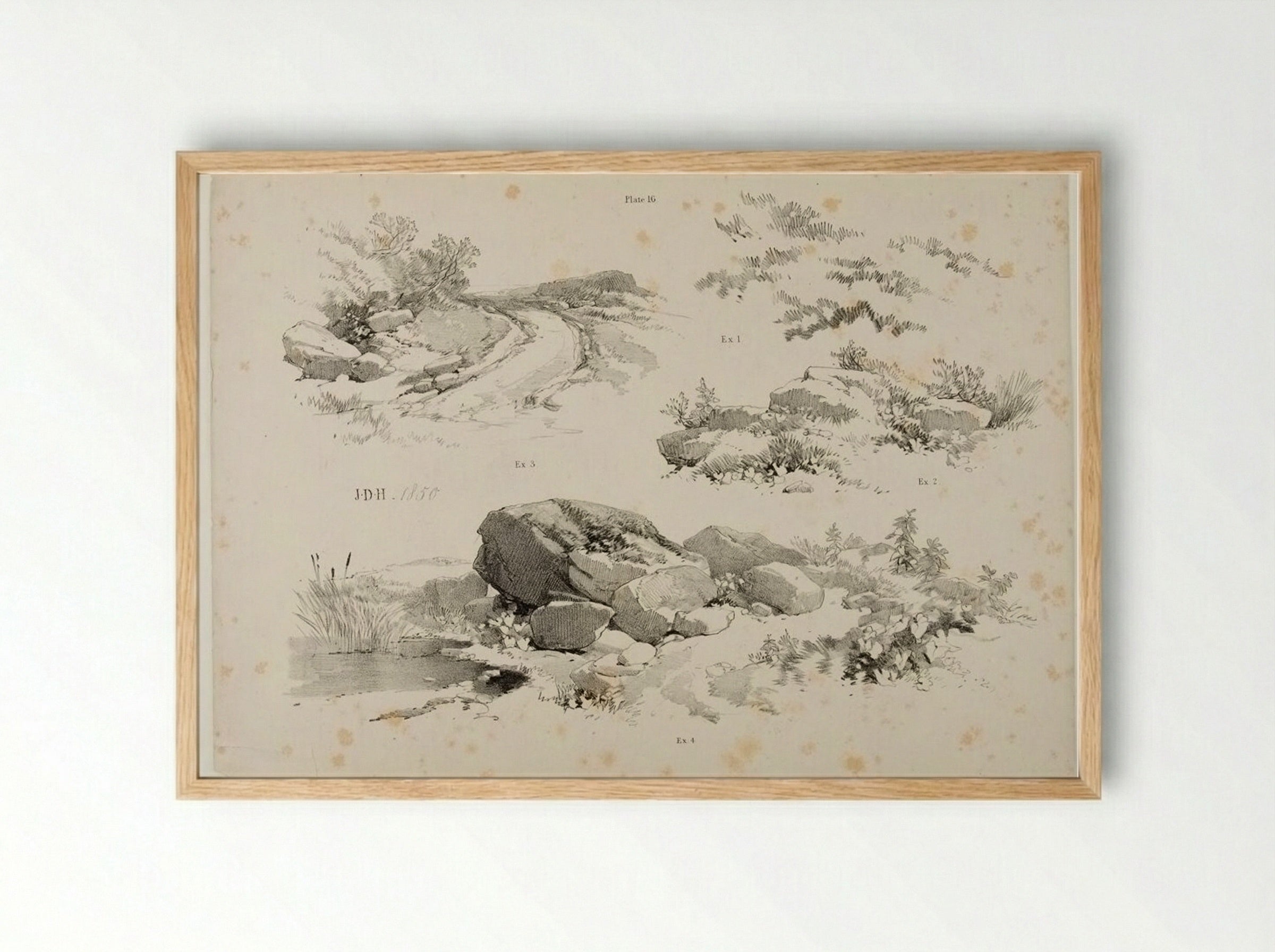 Lessons on Trees, plate 16 - James Duffield Harding - Framed Print Wood