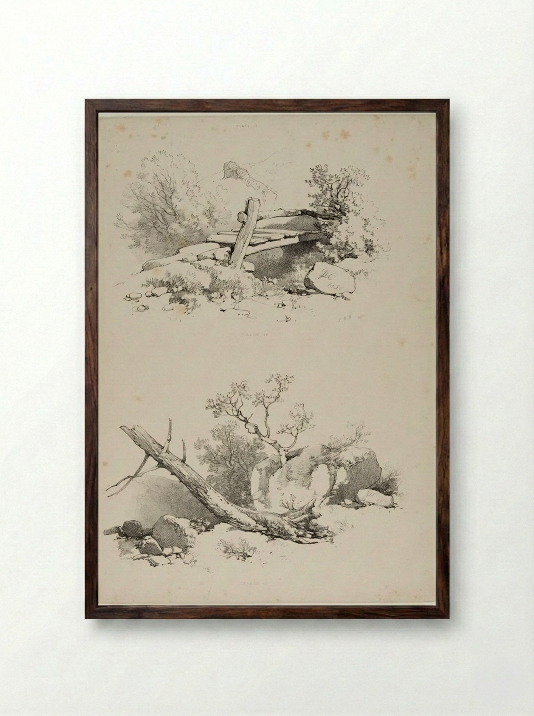 Lessons on Trees, plate 17 - James Duffield Harding - Framed Print Dark Wood