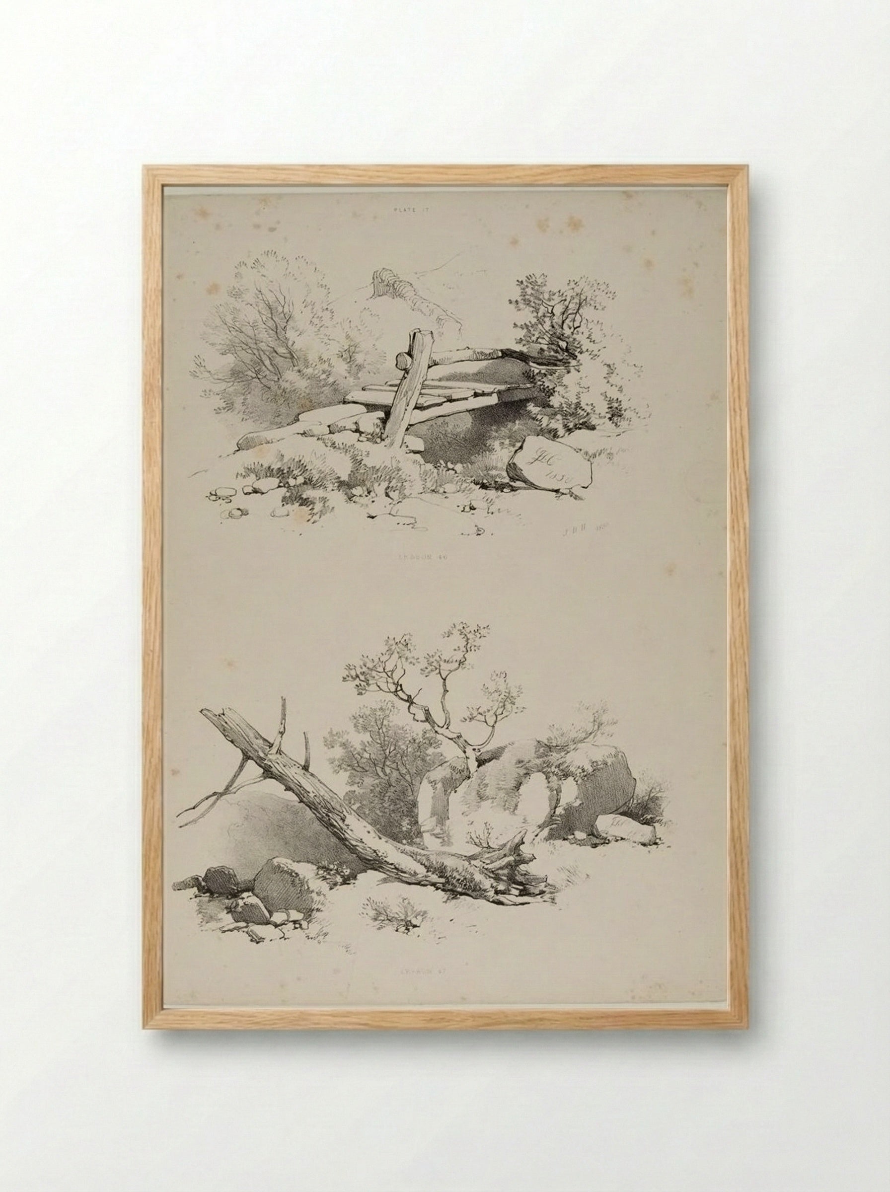 Lessons on Trees, plate 17 - James Duffield Harding - Framed Print Wood