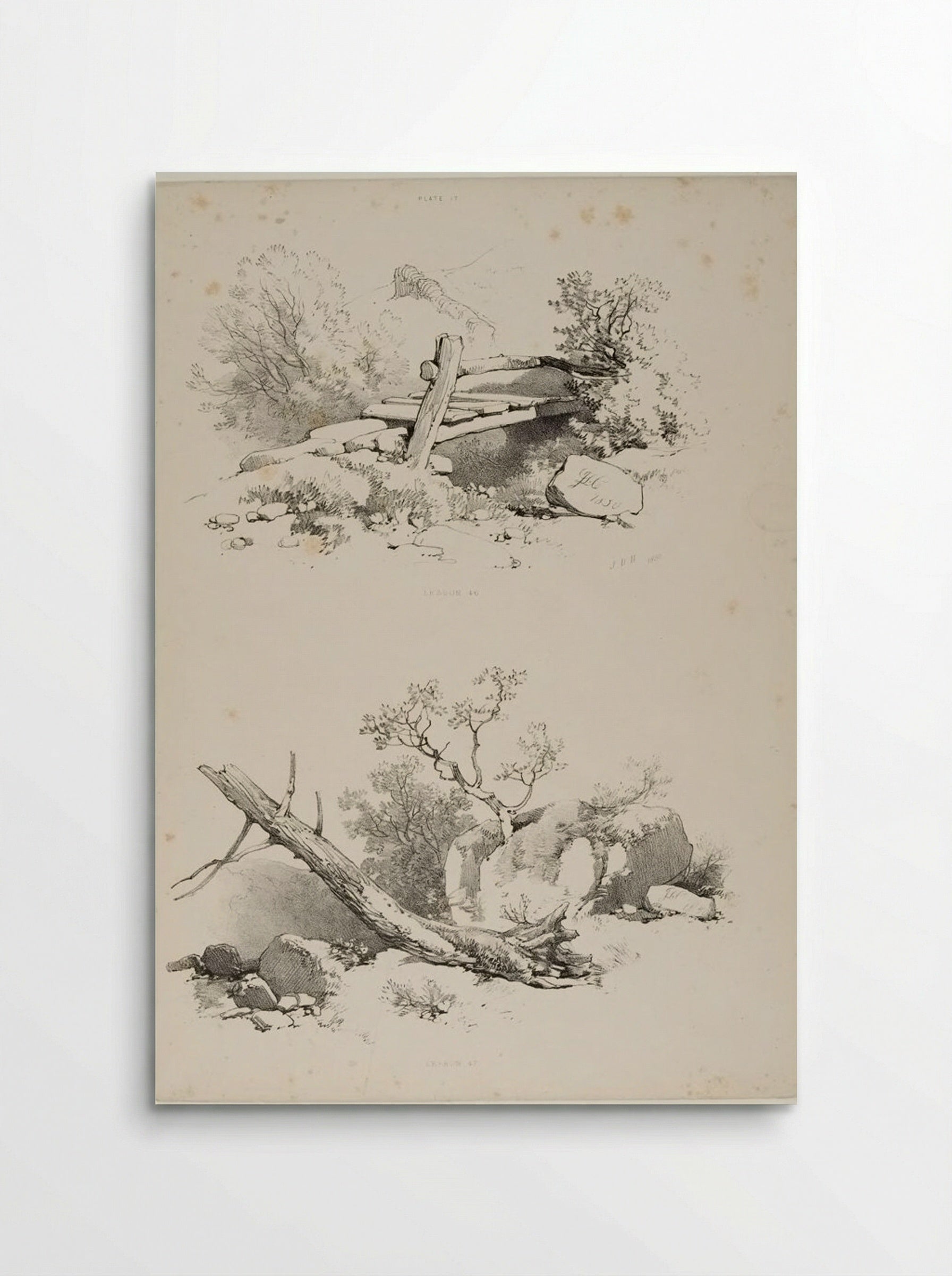 Lessons on Trees, plate 17 - James Duffield Harding - Poster