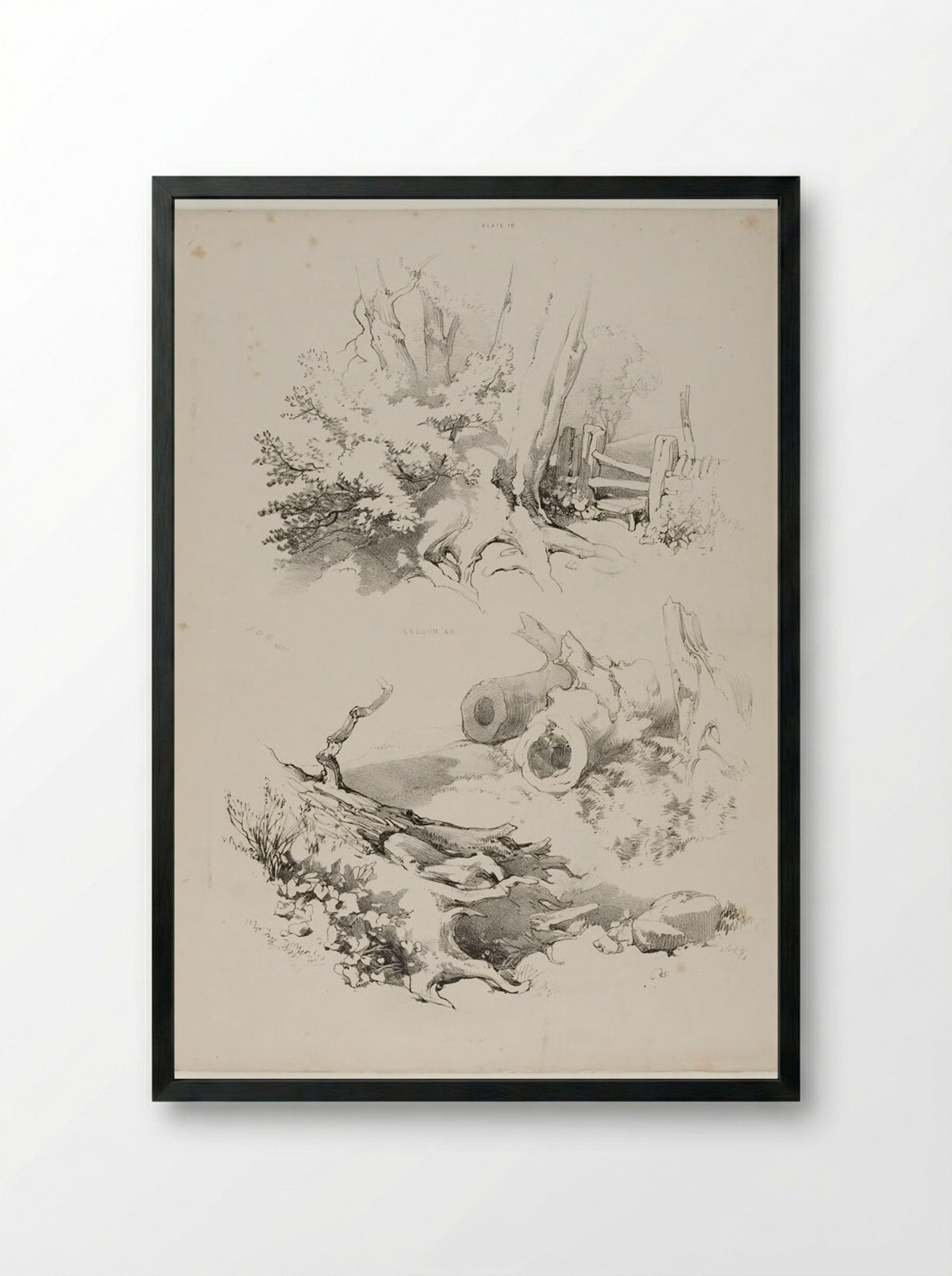 Lessons on Trees, plate 18 - James Duffield Harding - Framed Print Black