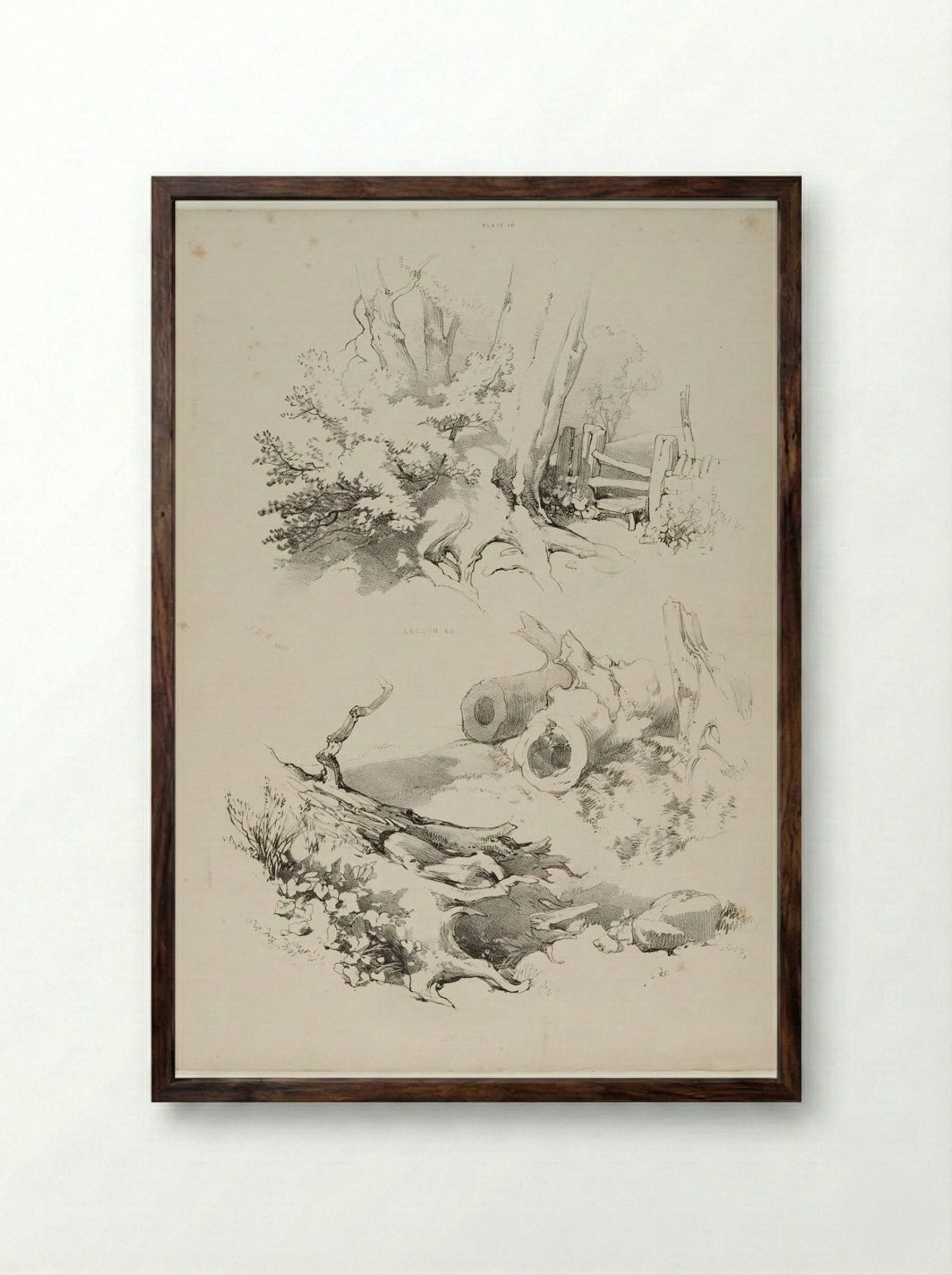 Lessons on Trees, plate 18 - James Duffield Harding - Framed Print Dark Wood