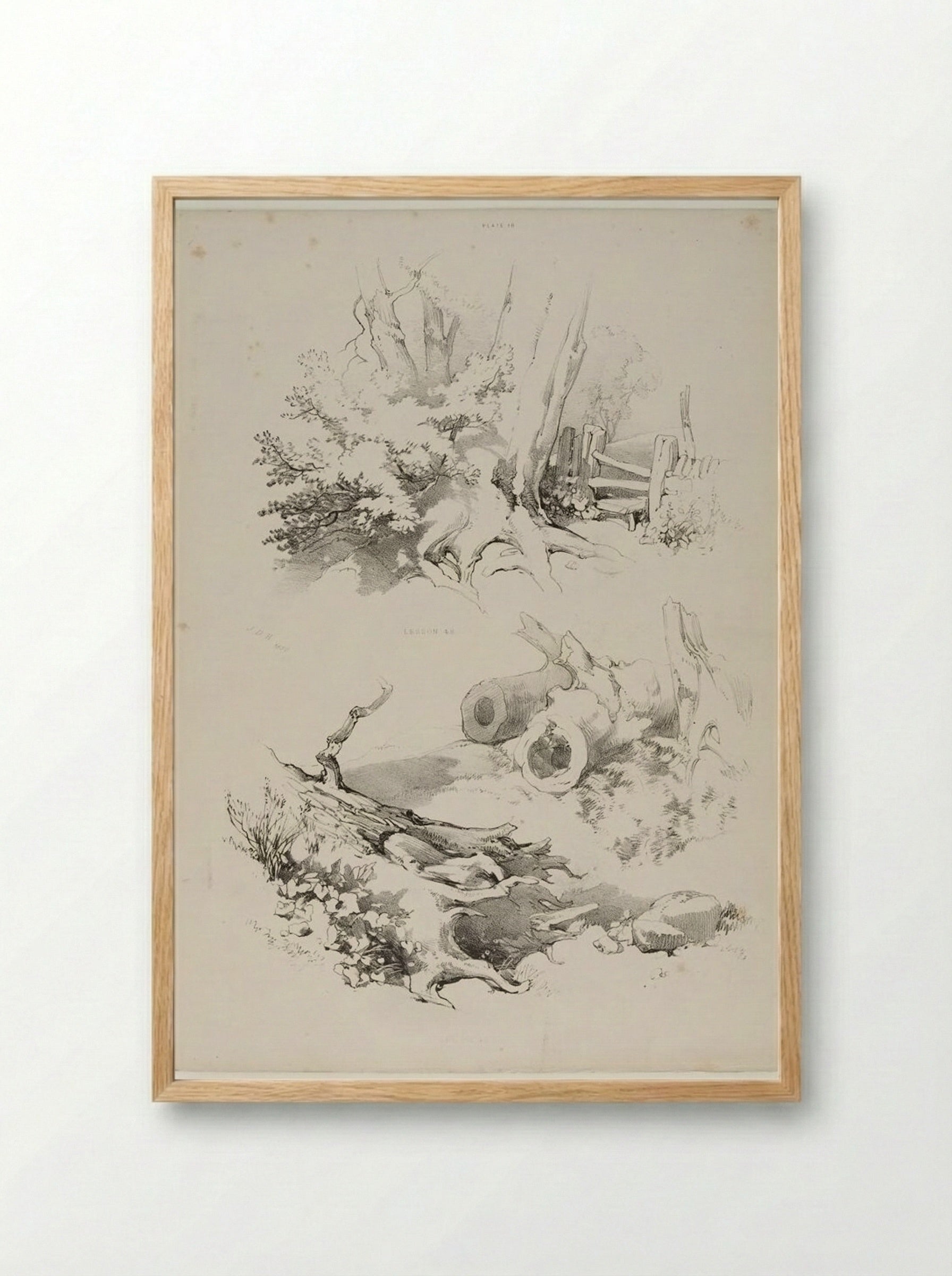 Lessons on Trees, plate 18 - James Duffield Harding - Framed Print Wood