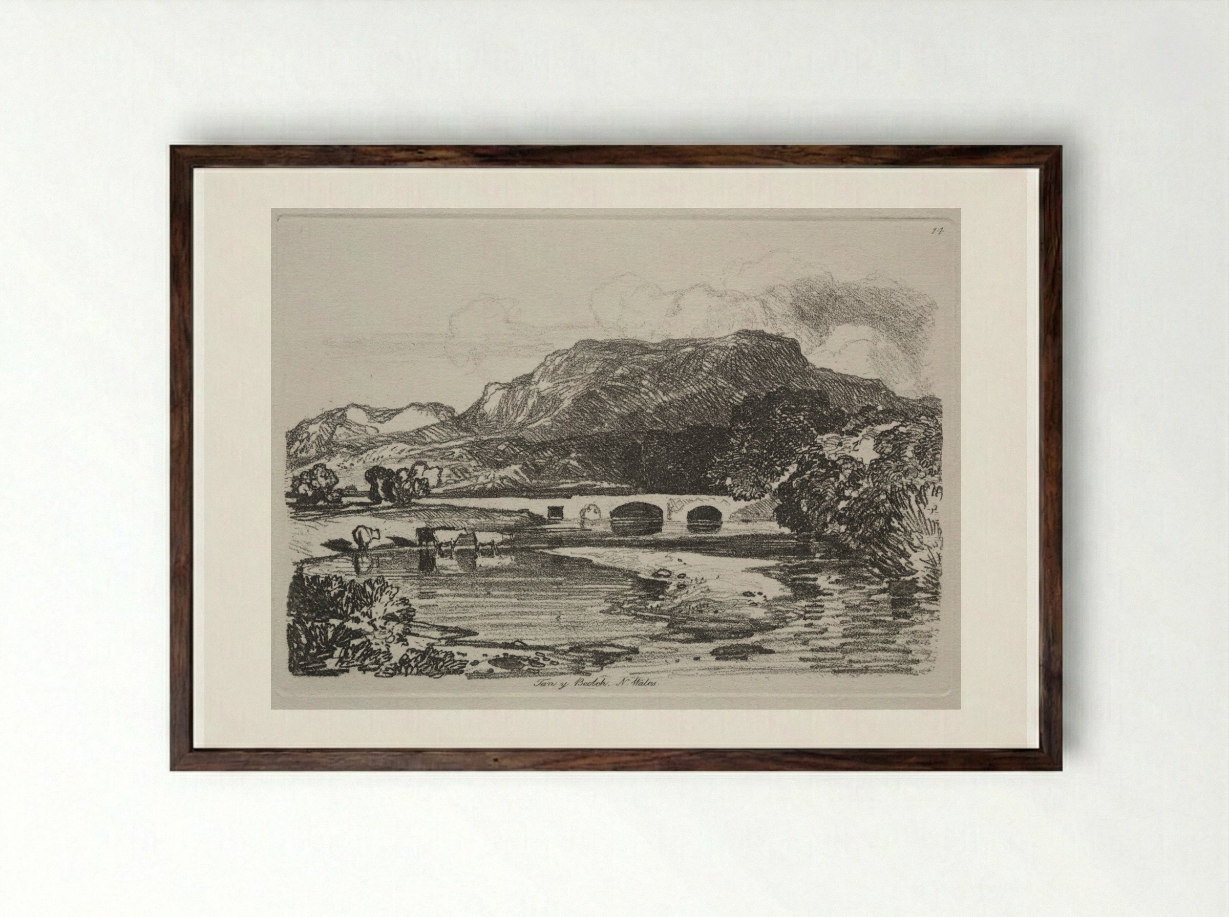 Liber Studiorum: Tan y Bwlch, North Wales - John Sell Cotman - Framed Print Dark Wood
