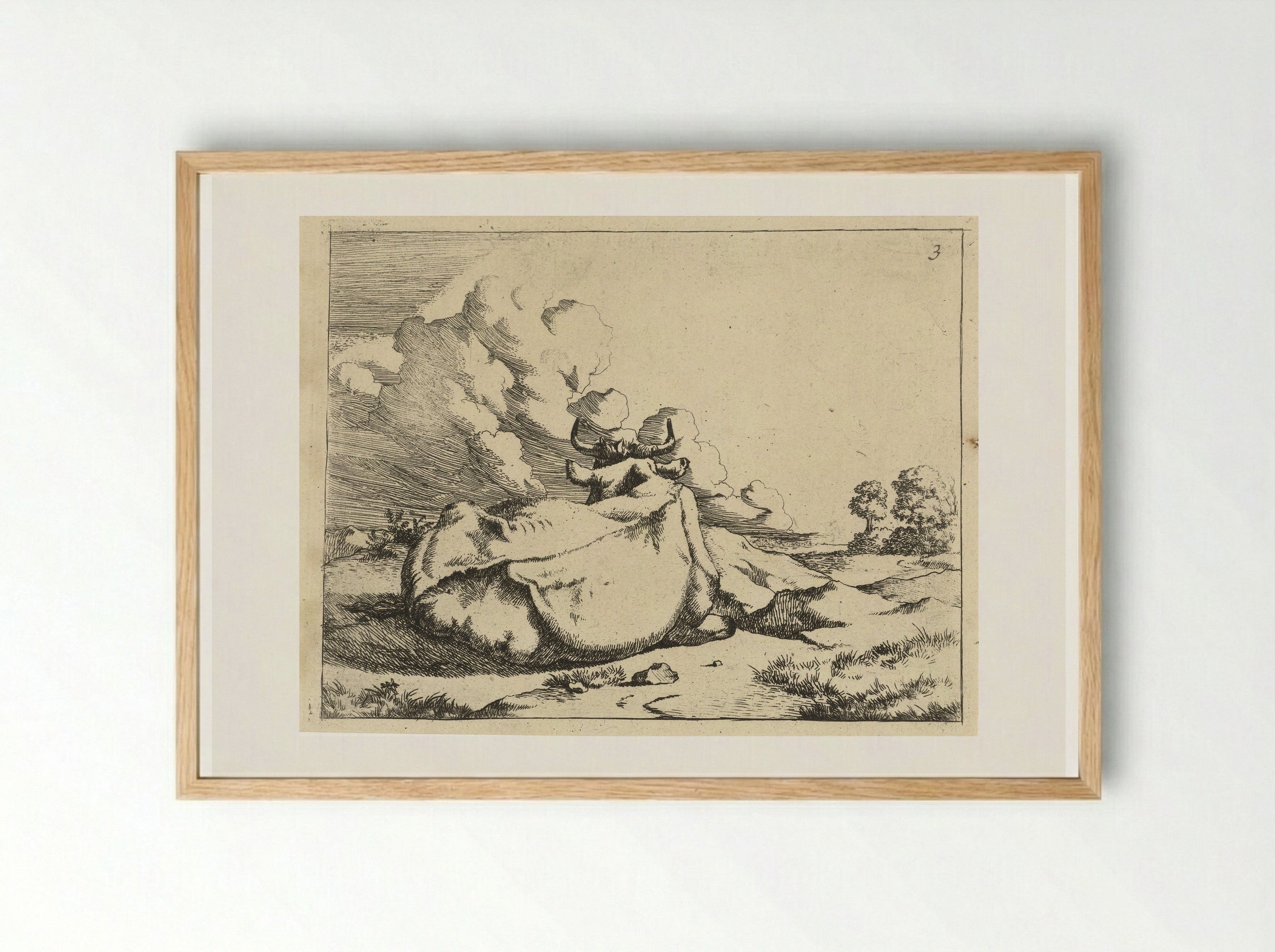 Liggend rund, op de rug gezien - Marcus de Bye - Framed Print Wood