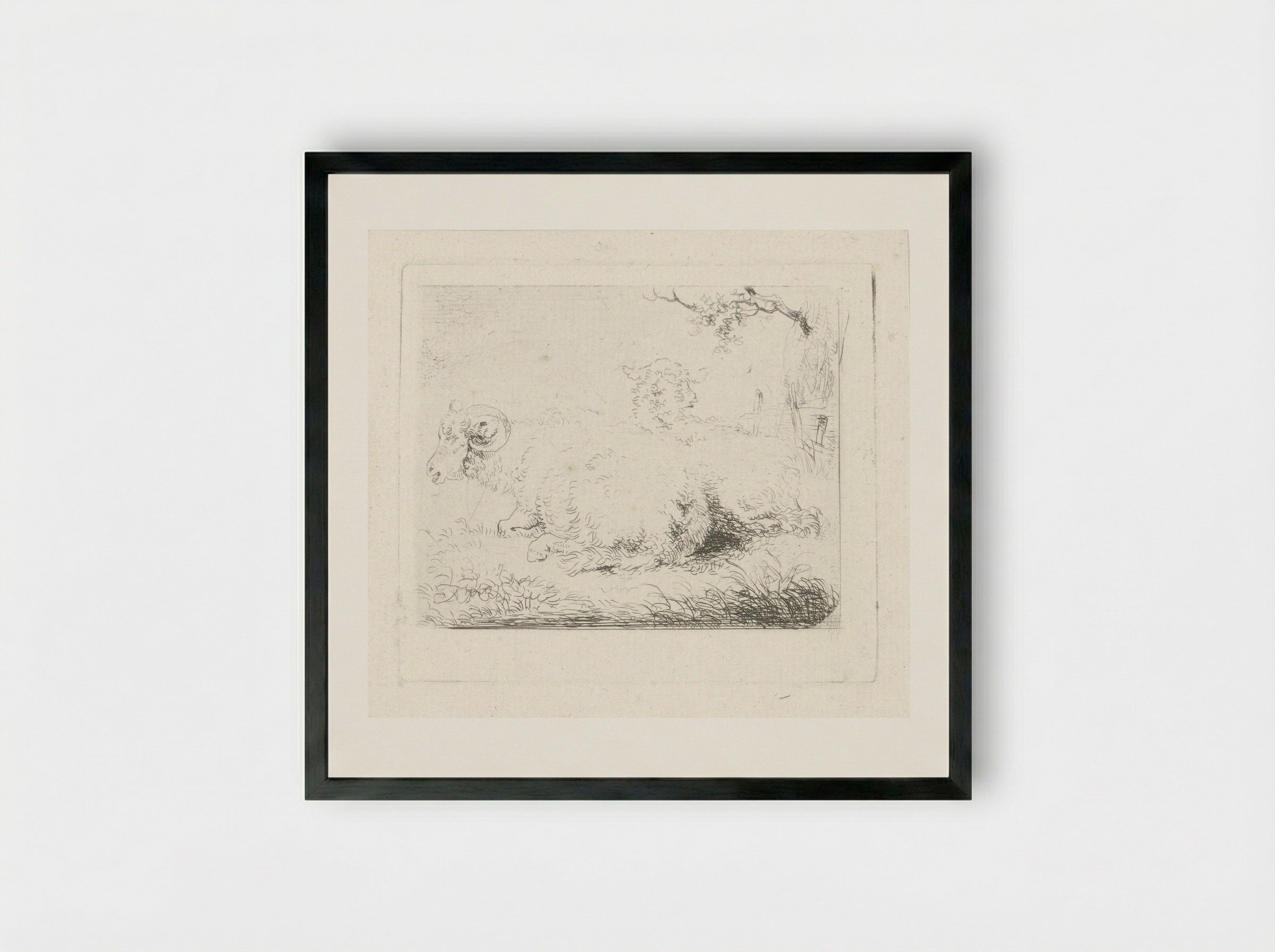 Liggend schaap en ram - Pieter Gerardus van Os - Framed Print Black