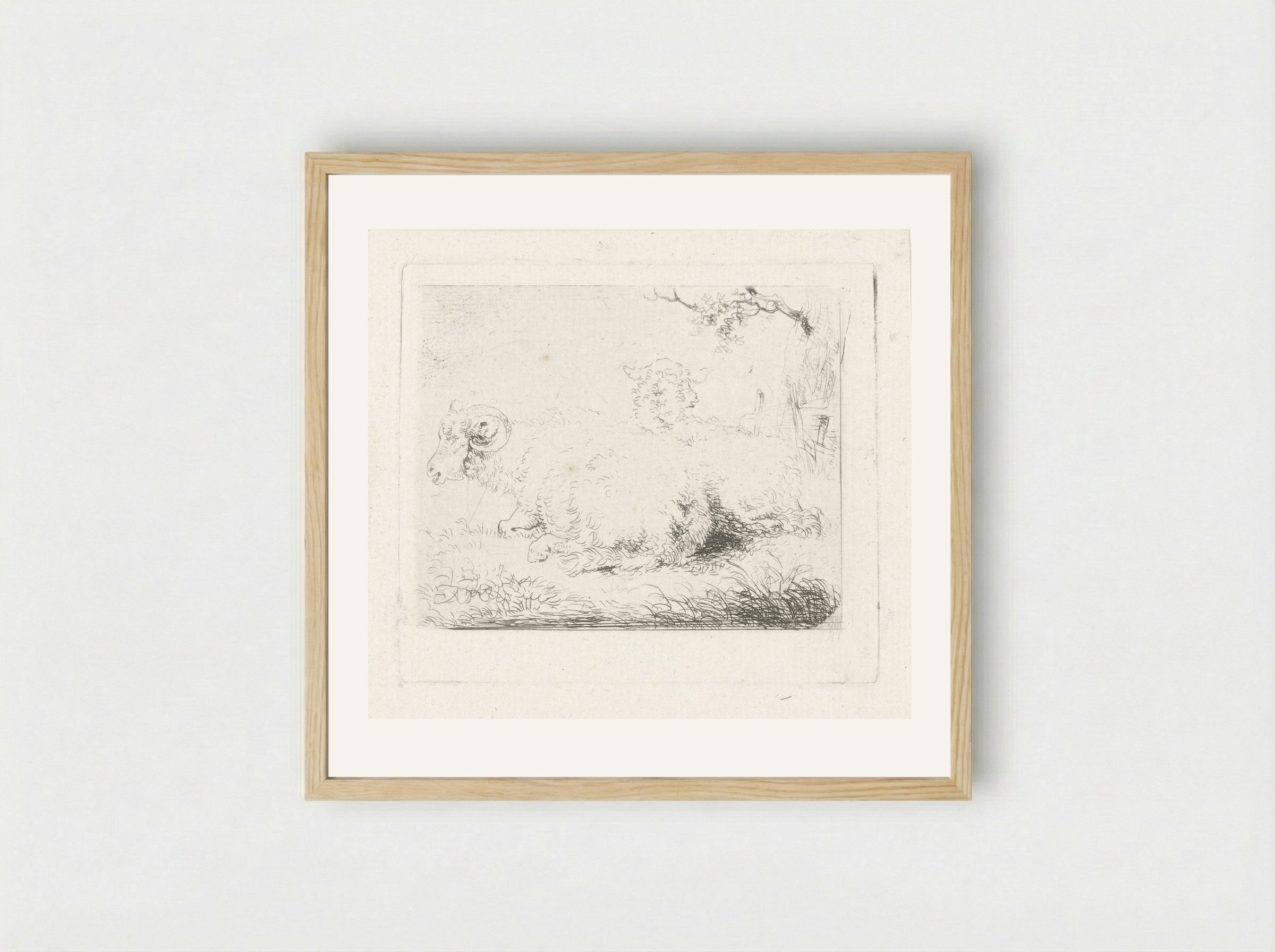 Liggend schaap en ram - Pieter Gerardus van Os - Framed Print Wood