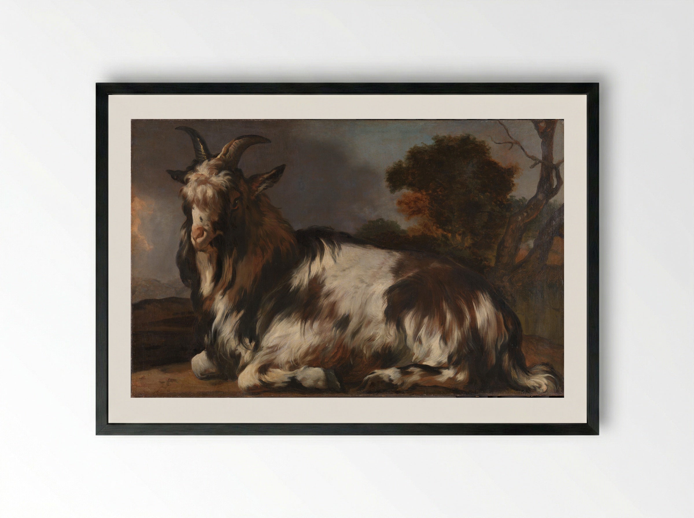 Liggende bok (Reclining Goat) - Jan Baptist Weenix - Framed Print Black