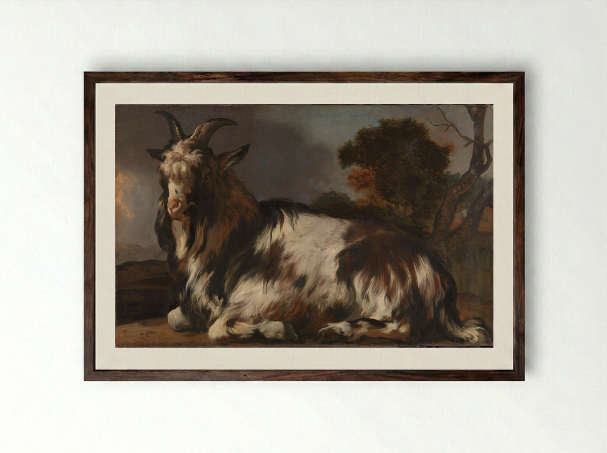 Liggende bok (Reclining Goat) - Jan Baptist Weenix - Framed Print Dark Wood