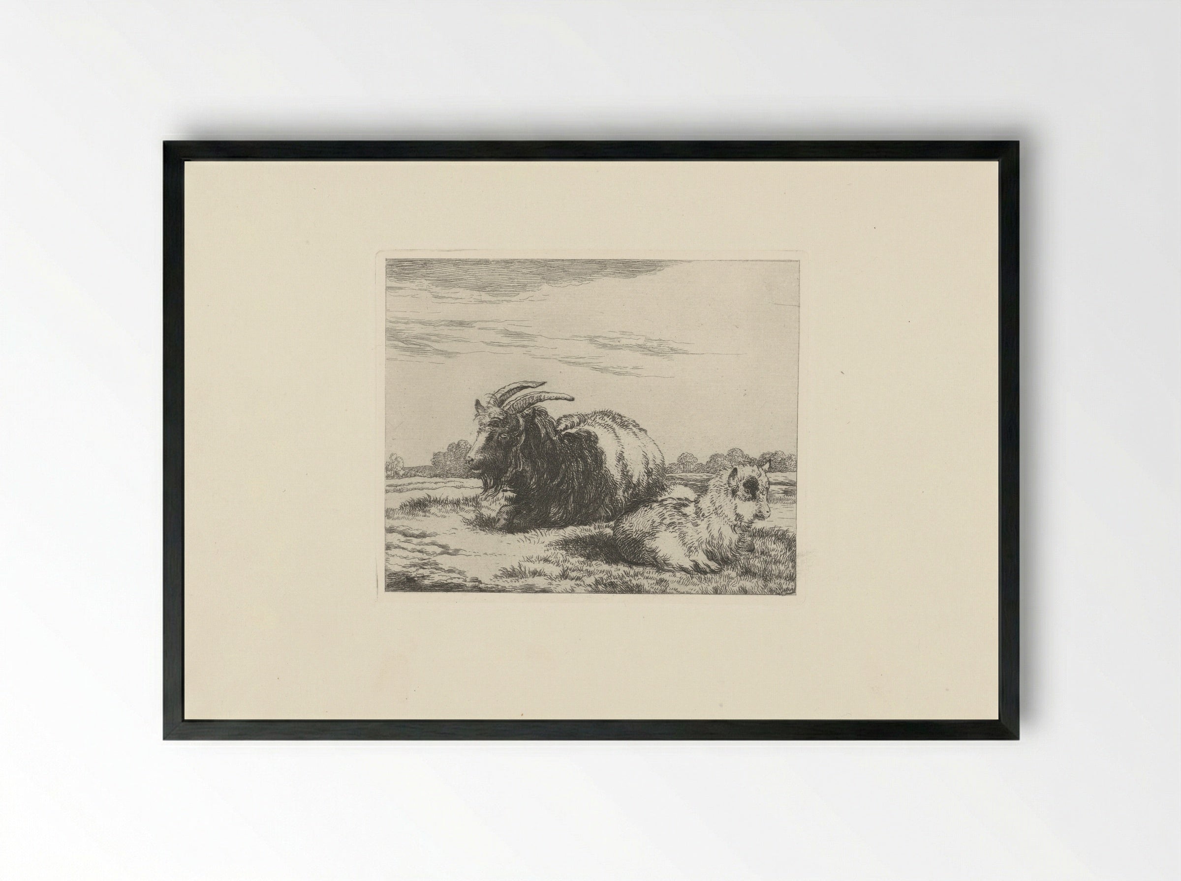 Liggende bok en geitje - Pieter Gerardus van Os - Framed Print Black