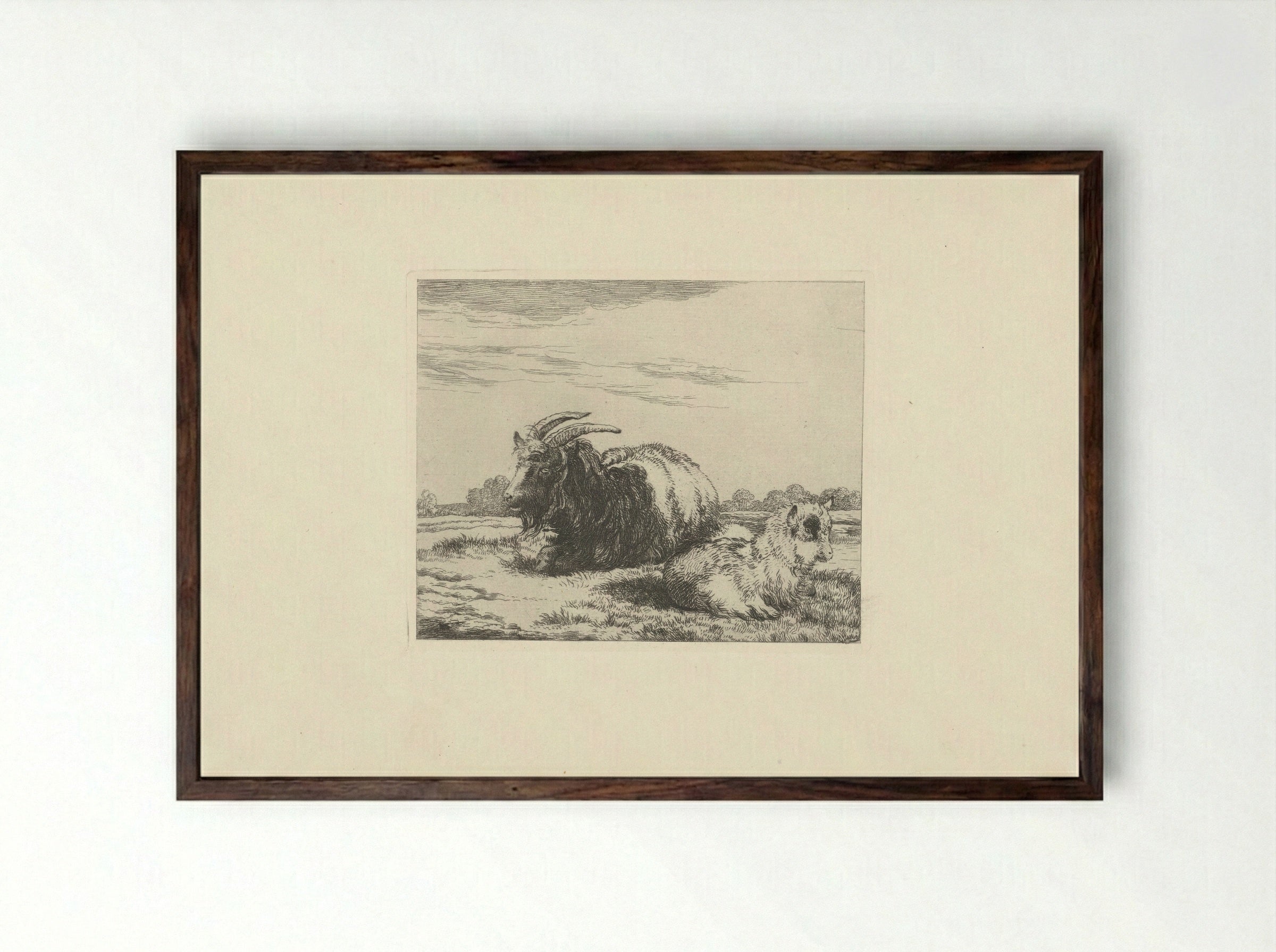 Liggende bok en geitje - Pieter Gerardus van Os - Framed Print Dark Wood