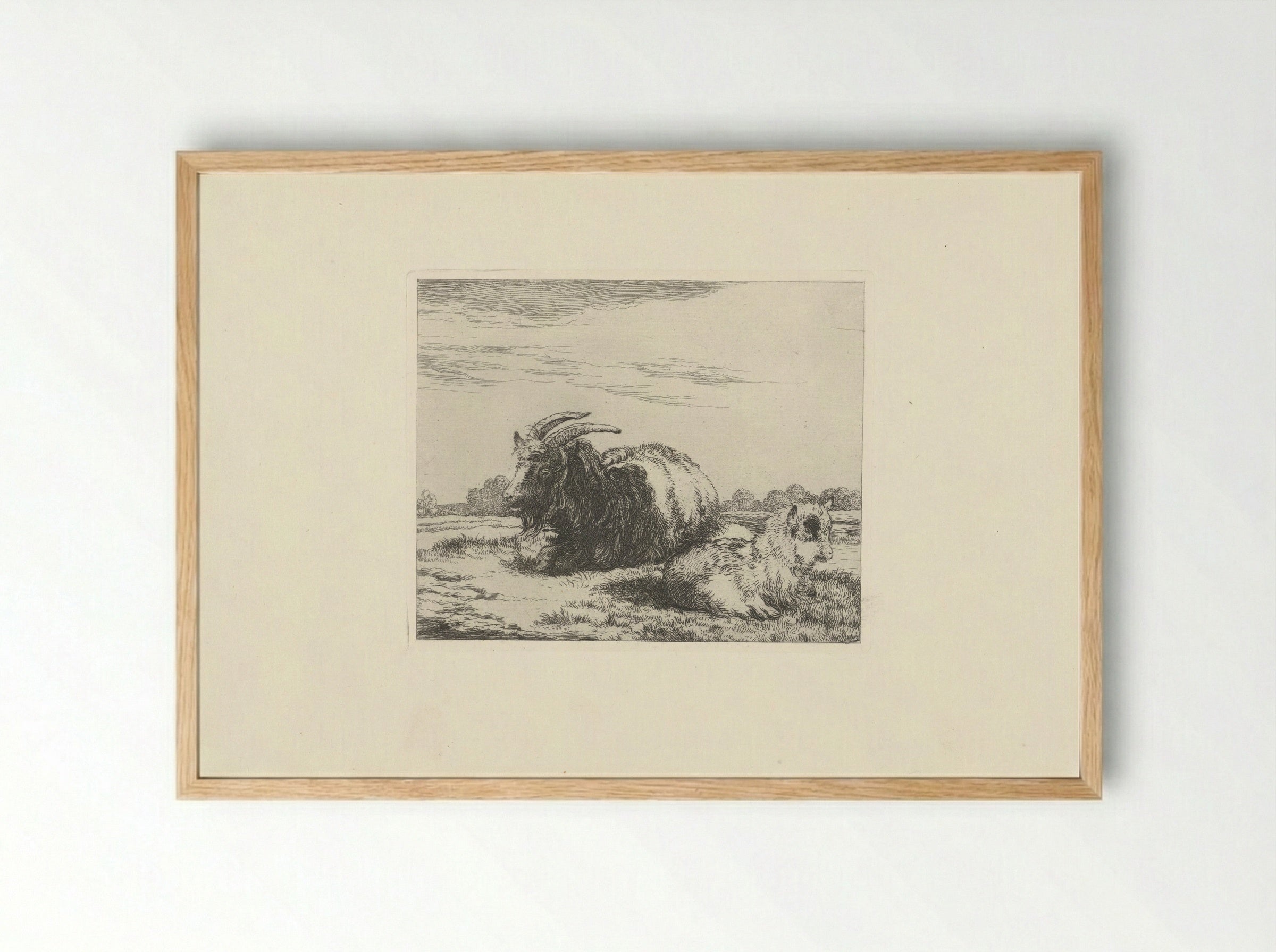 Liggende bok en geitje - Pieter Gerardus van Os - Framed Print Wood