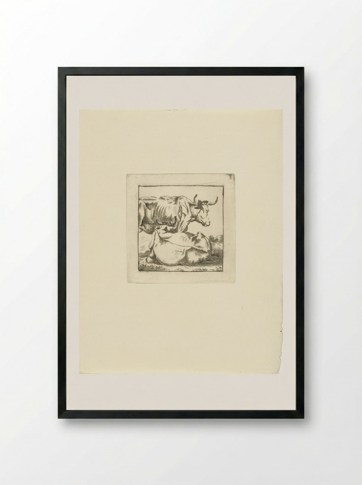 Liggende en staande koe - G. van Citters - Framed Print Black