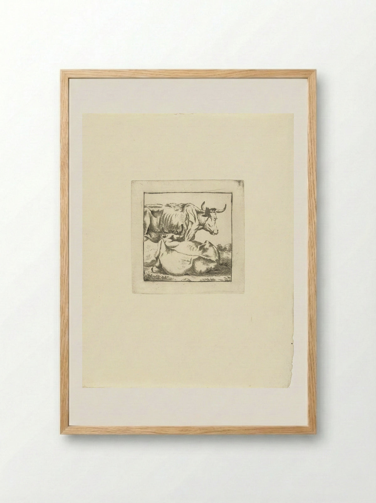 Liggende en staande koe - G. van Citters - Framed Print Wood
