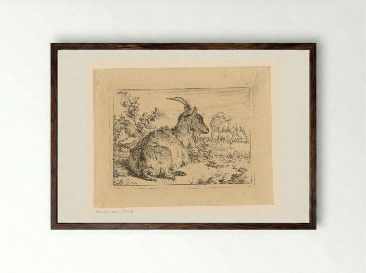 Liggende geit (Reclining Goat) - Benjamin Phelps Gibbon - Framed Print Dark Wood