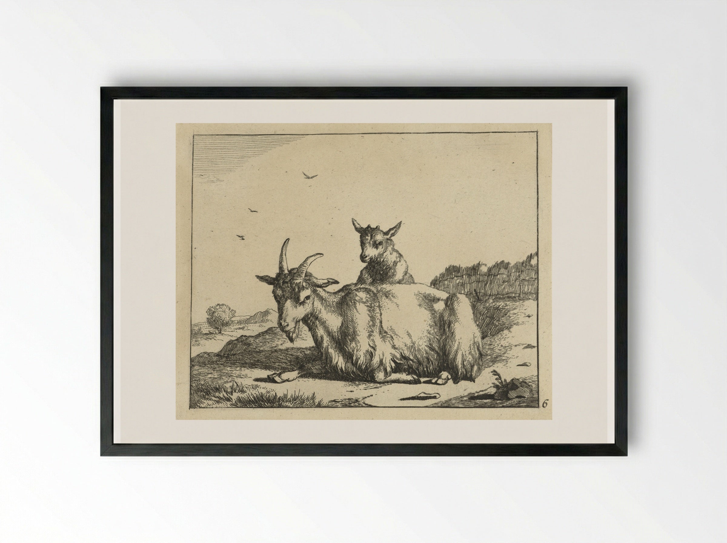 Liggende geit met lam - Marcus de Bye - Framed Print Black