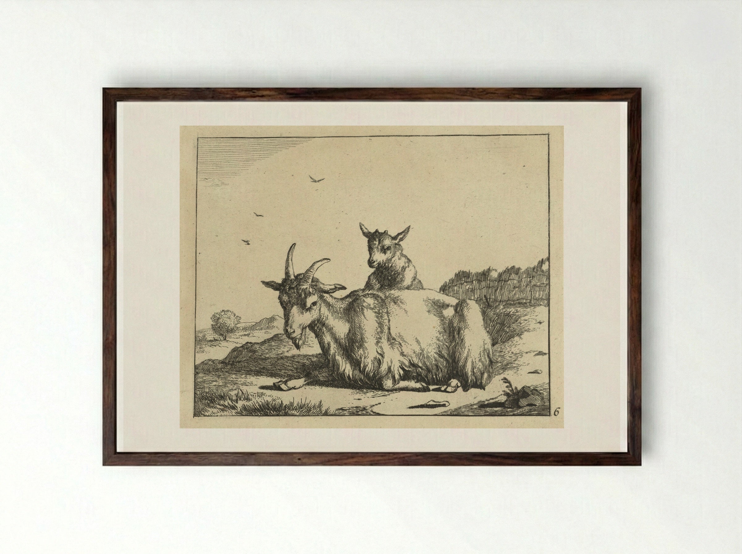 Liggende geit met lam - Marcus de Bye - Framed Print Dark Wood