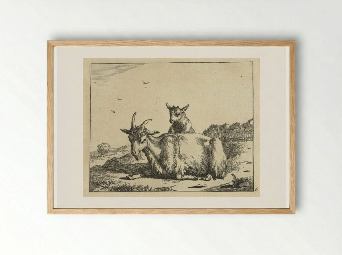 Liggende geit met lam - Marcus de Bye - Framed Print Wood