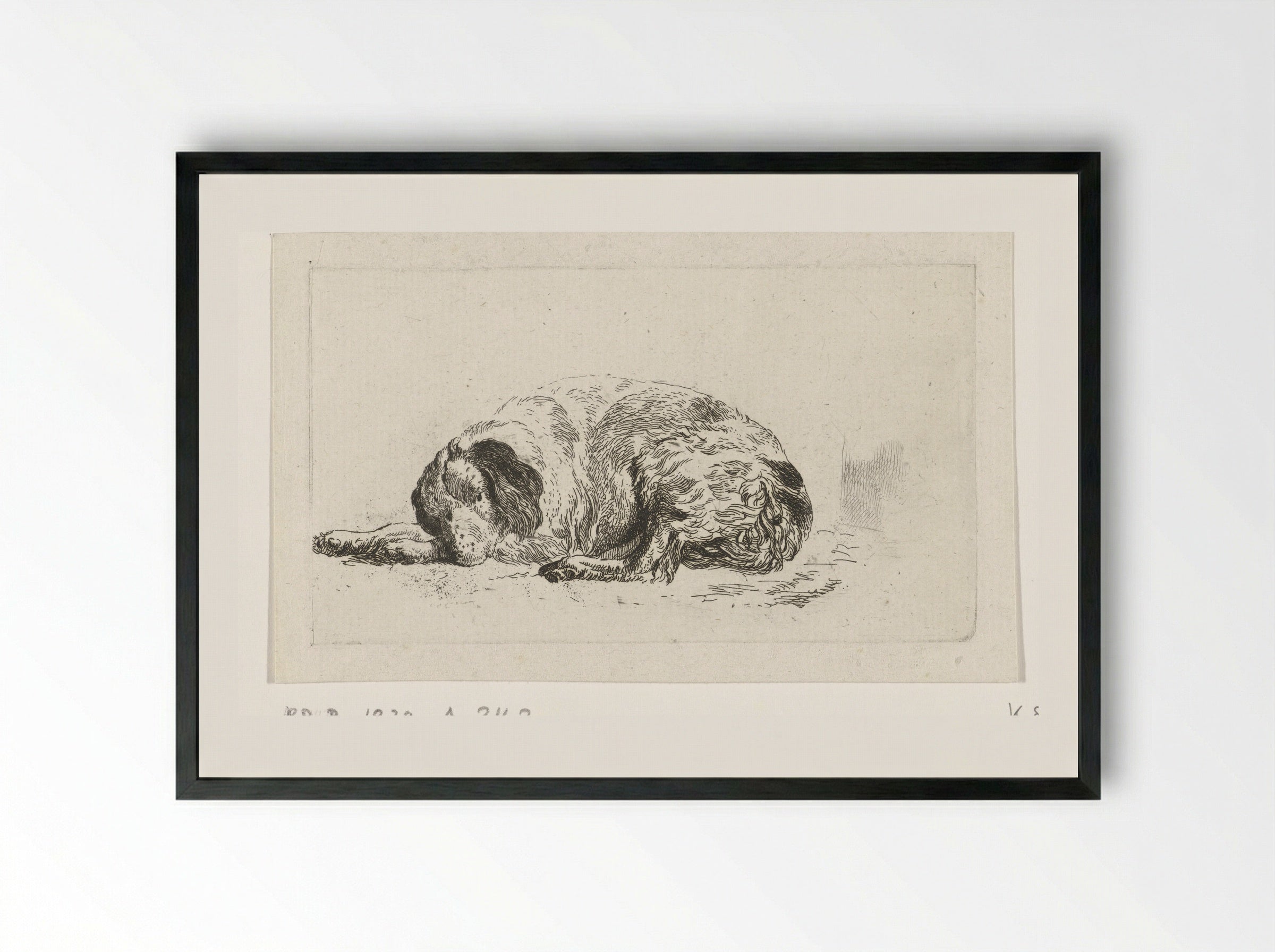 Liggende hond (Lying Dog) - Pieter Gerardus van Os - Framed Print Black